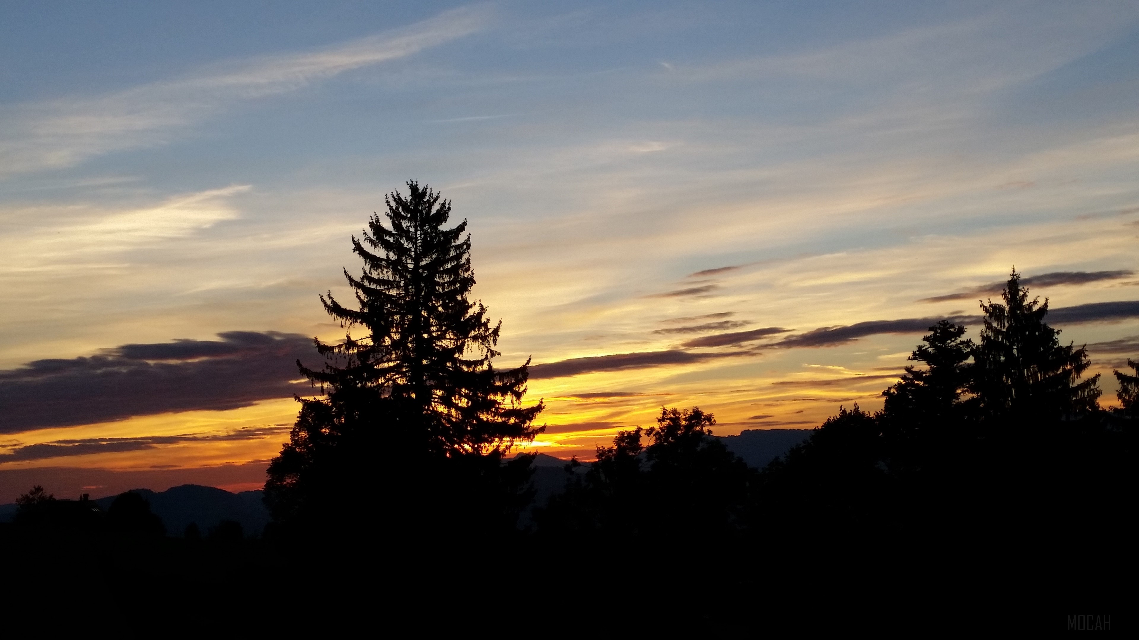 Silhouette of trees against a colorful sunrise sky HD Wallpaper