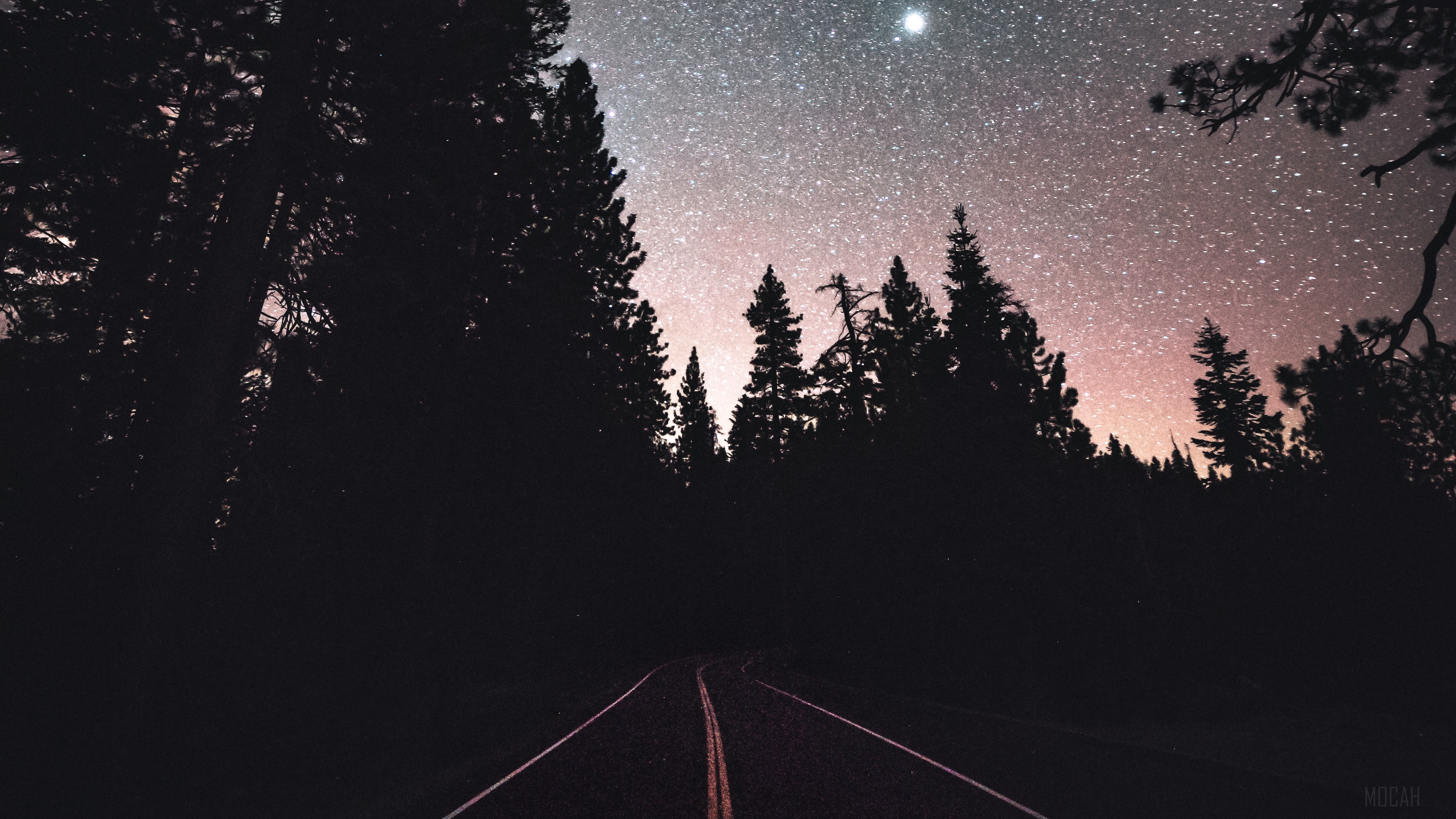 Road through a forest under a starry sky 4K HD Wallpaper