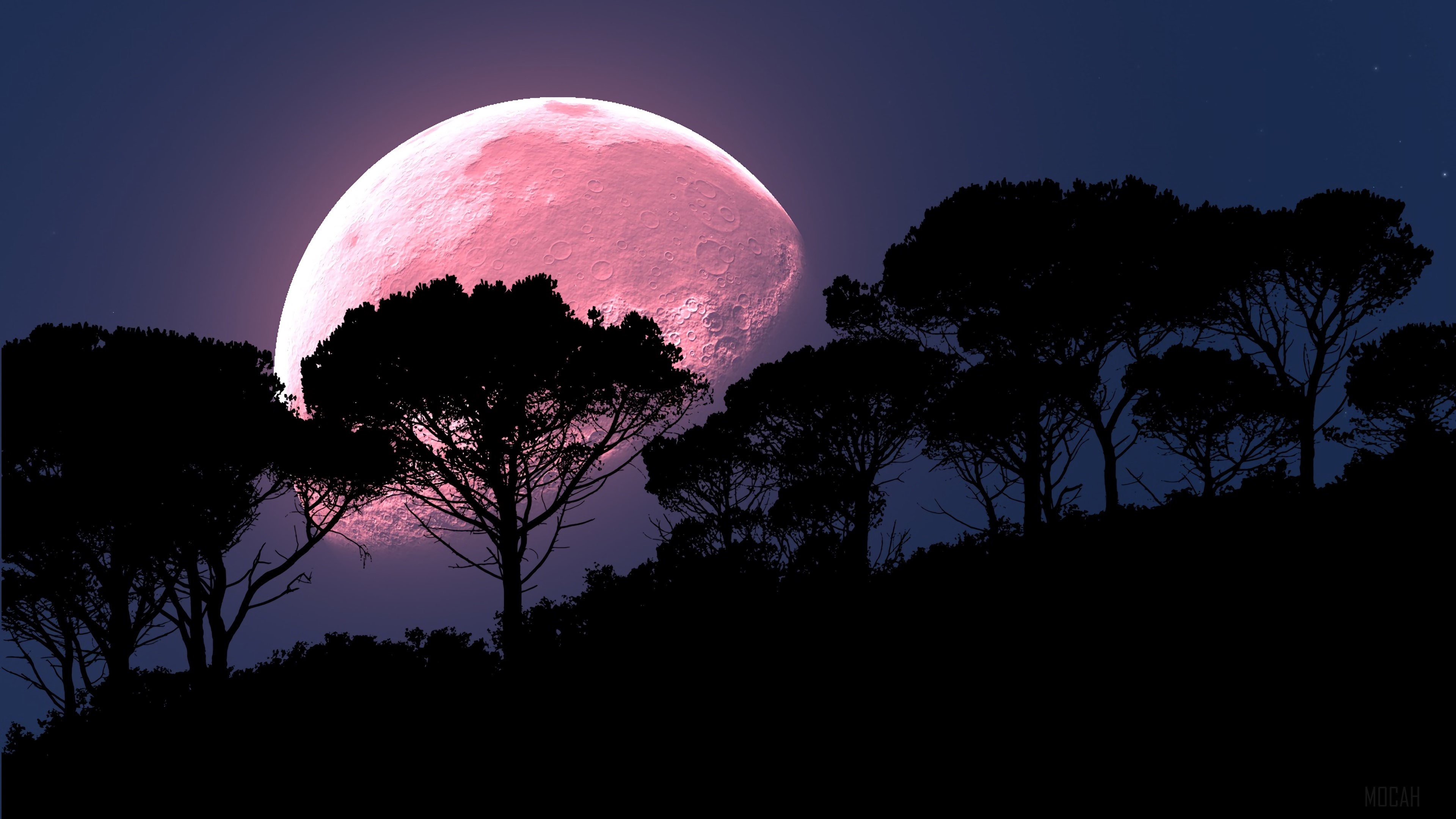 Pink Moon over Silhouetted Trees HD Wallpaper