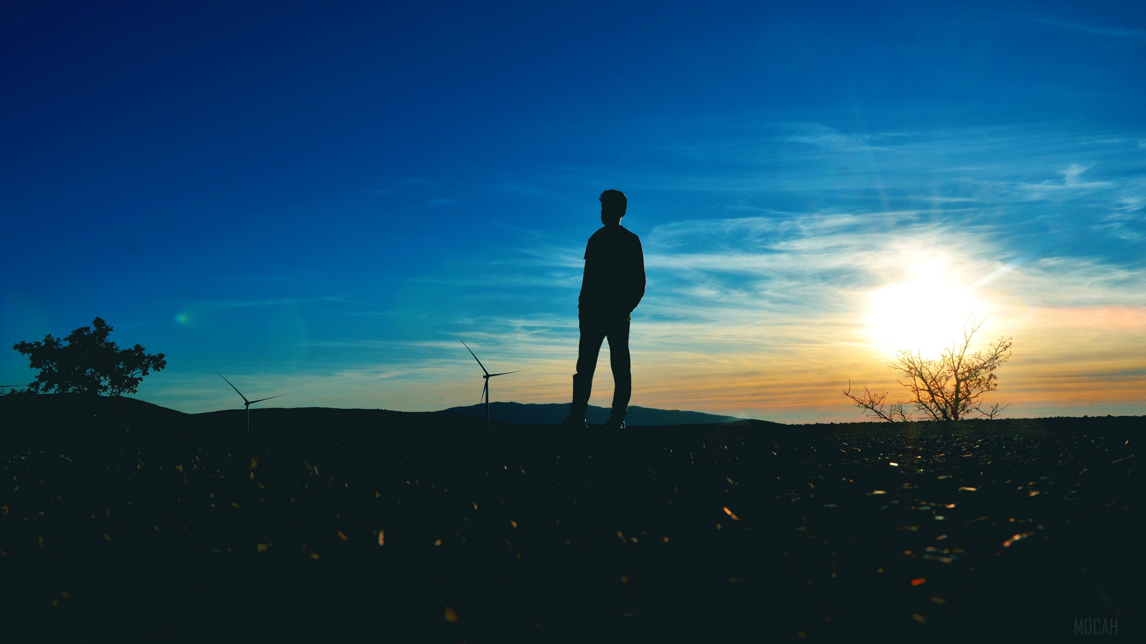 Man silhouette at sunset with wind turbines HD Wallpaper