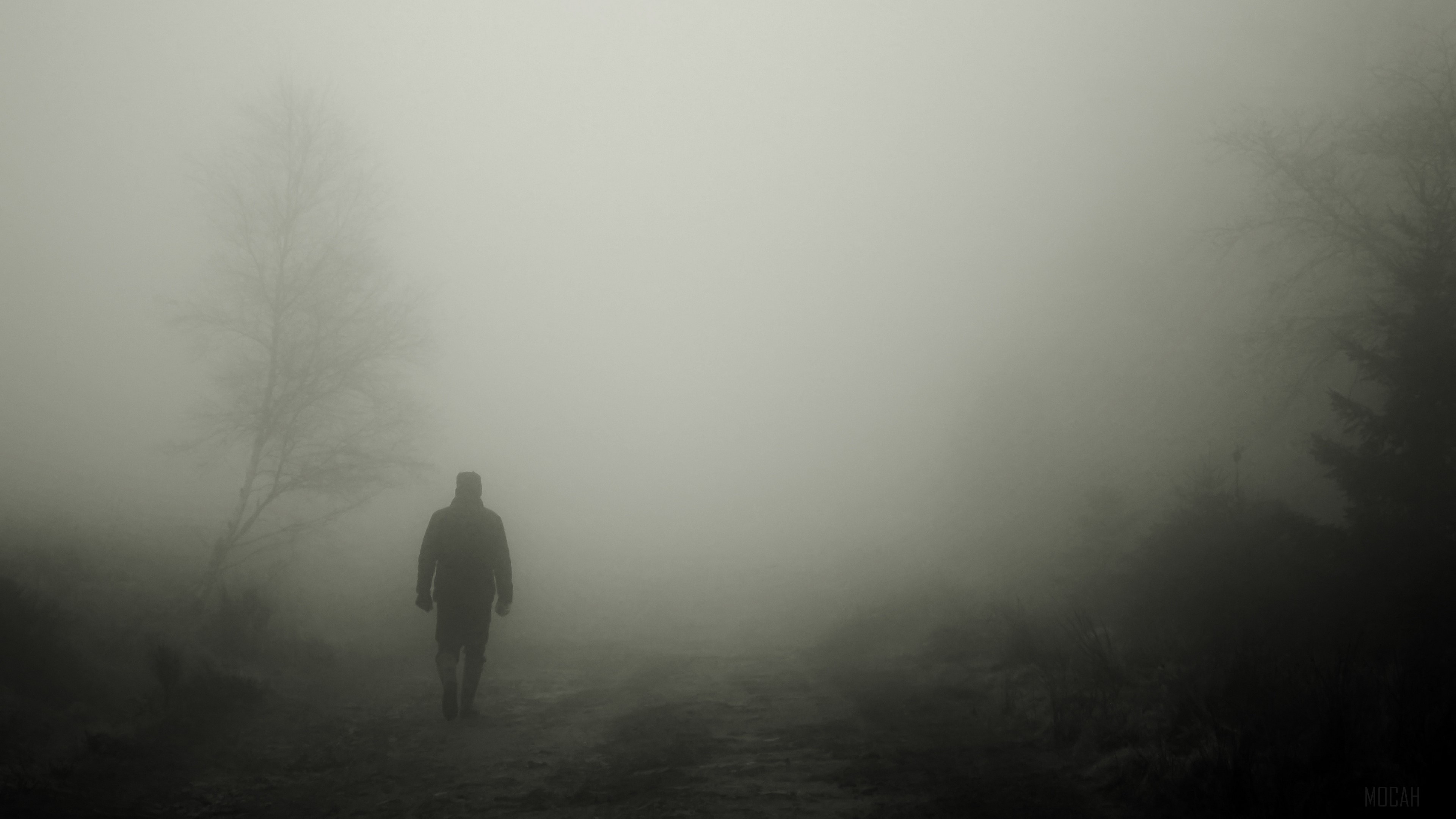 Man walking in fog 4K HD Wallpaper