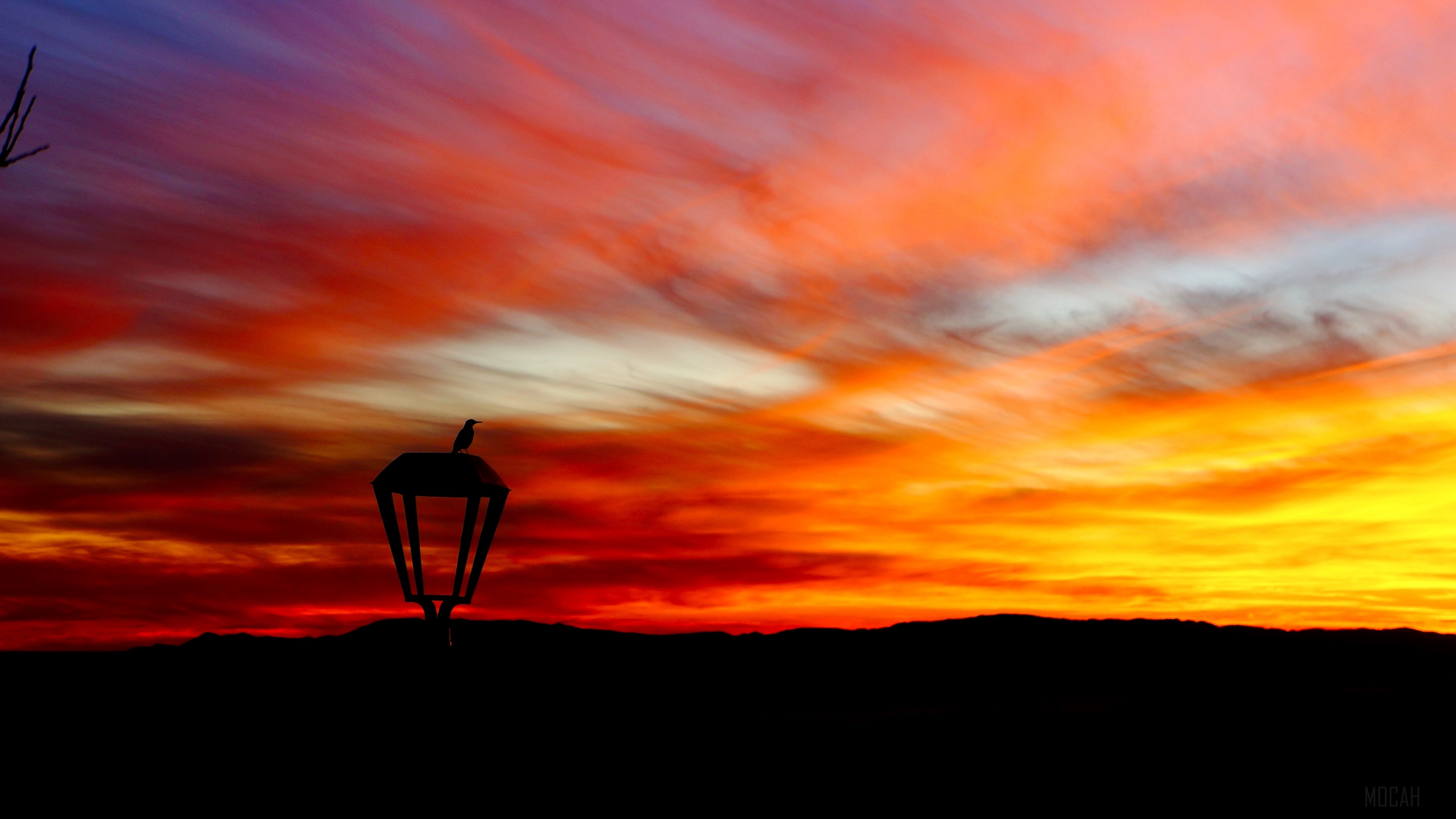 Silhouette of a bird on a lantern at sunset 4K HD Wallpaper