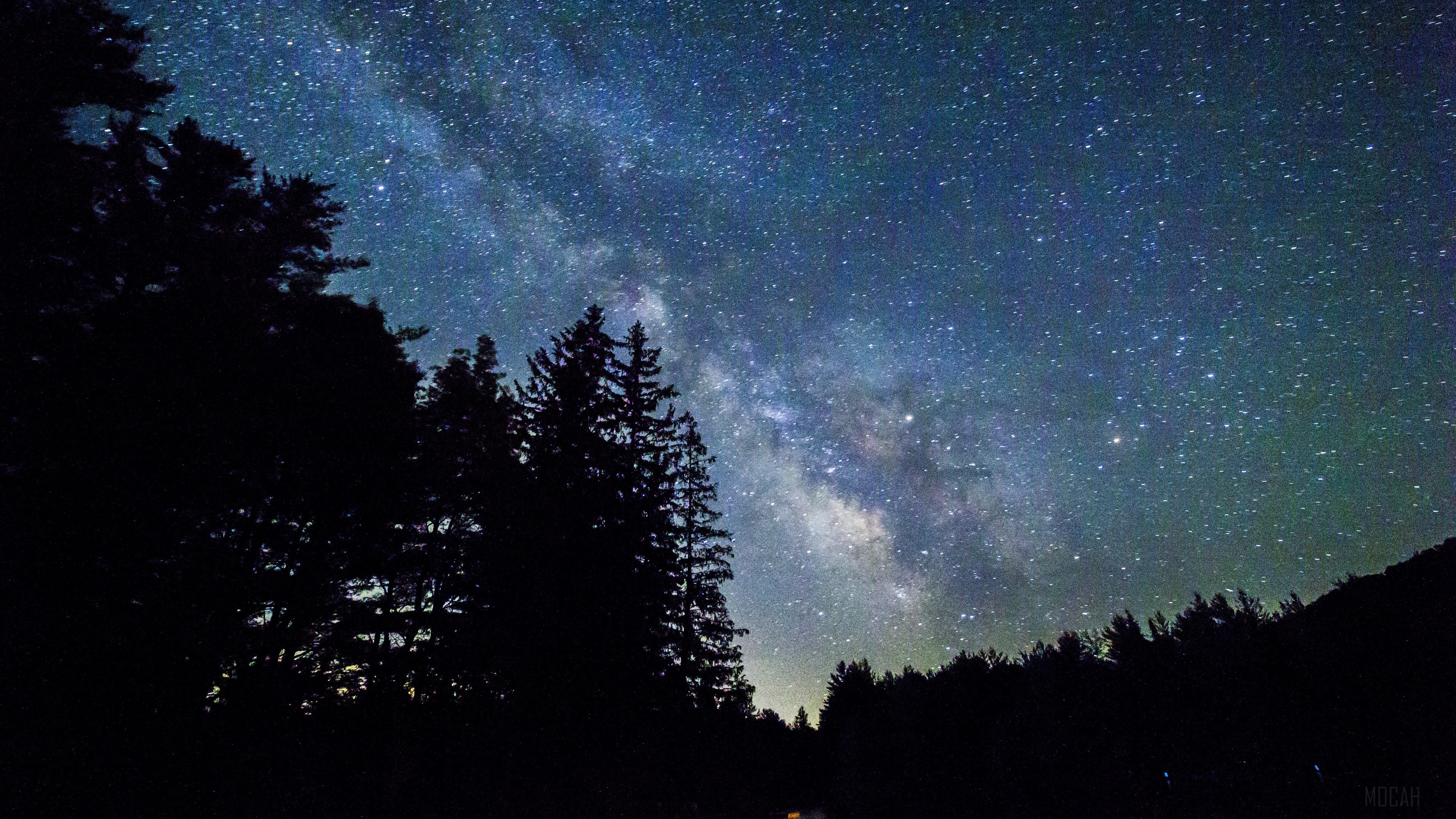 Starry sky over trees, galaxy 4K HD Wallpaper