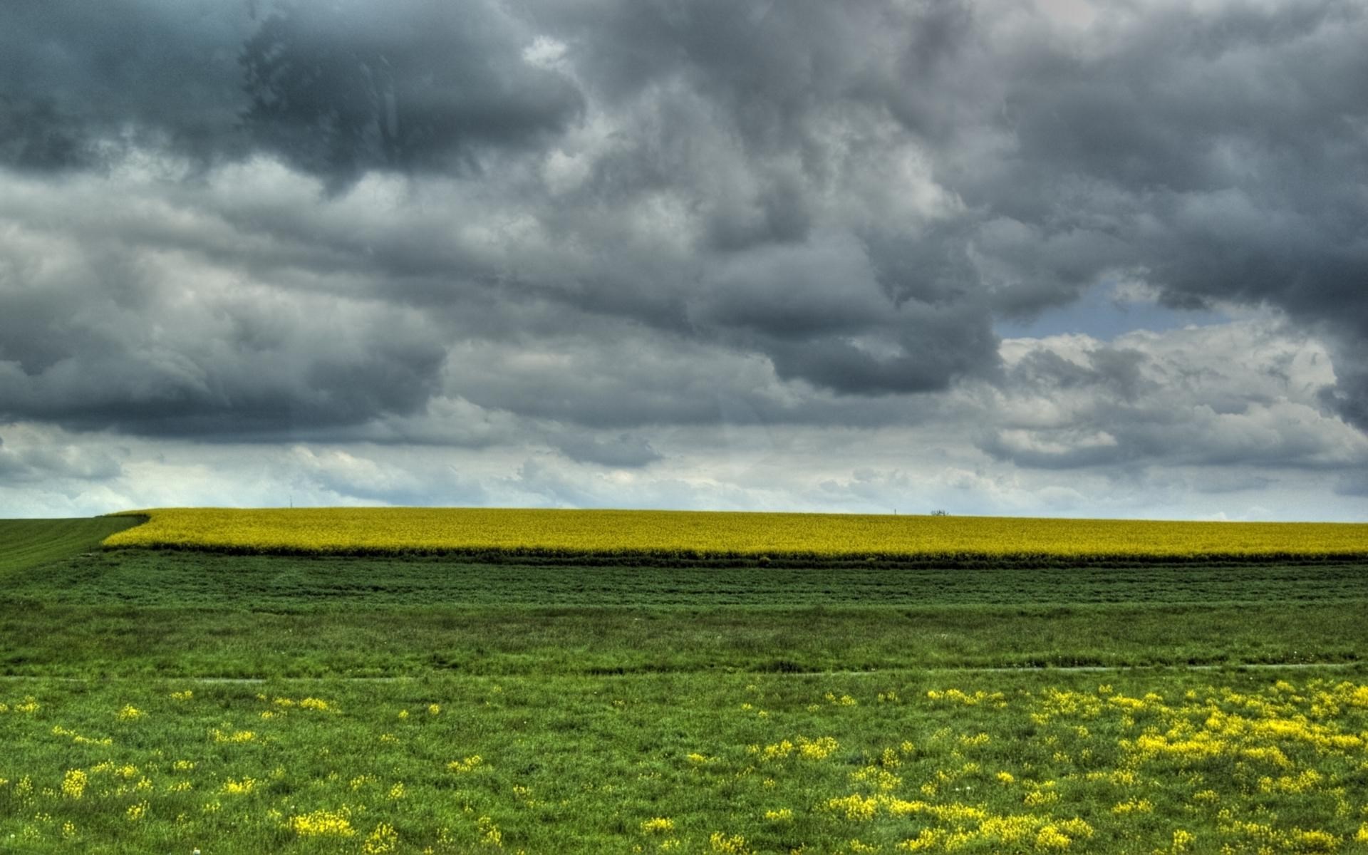 Stormy sky over yellow and green fields HD Wallpaper
