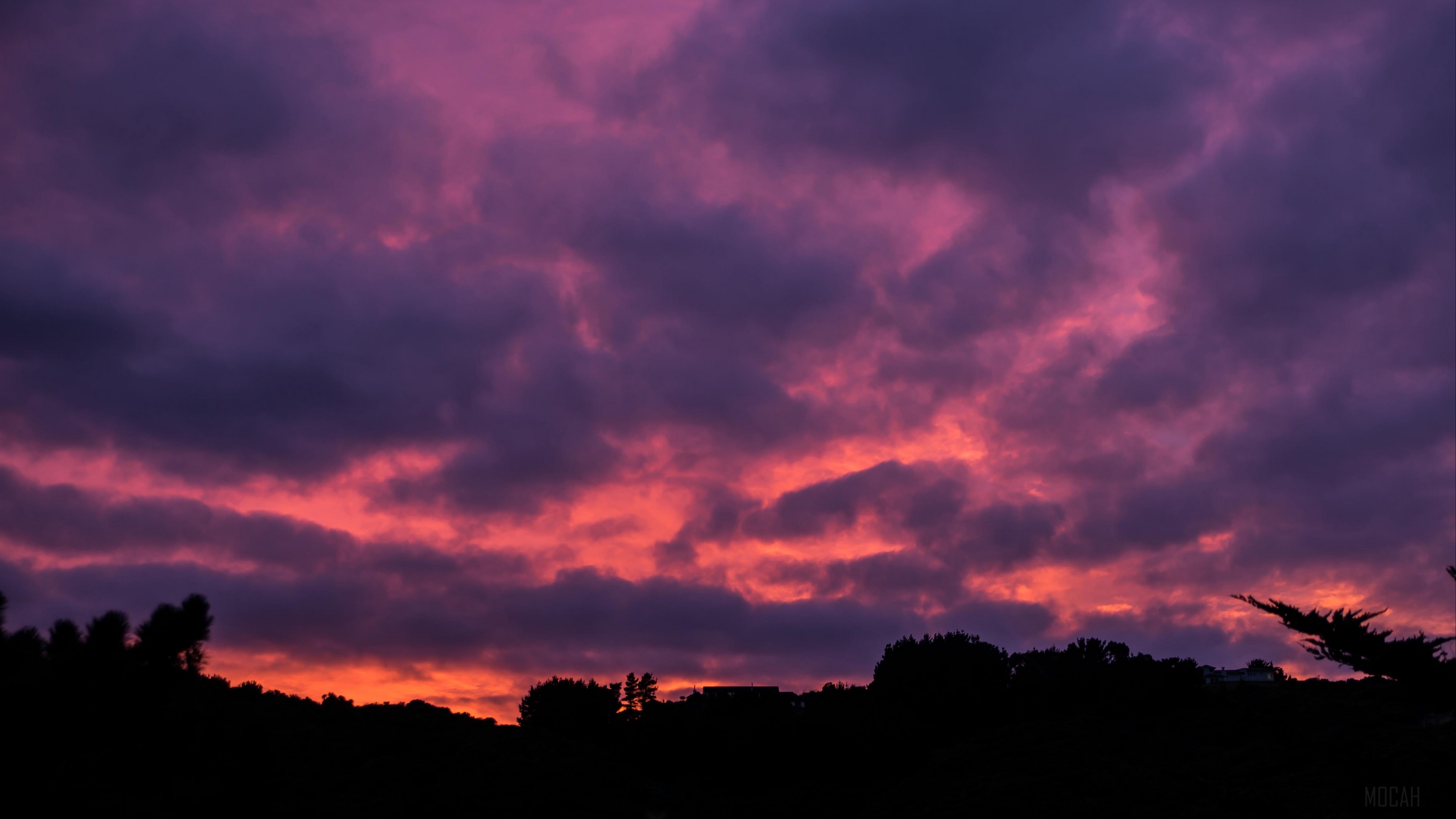 Sunset clouds over silhouetted trees 4K HD Wallpaper