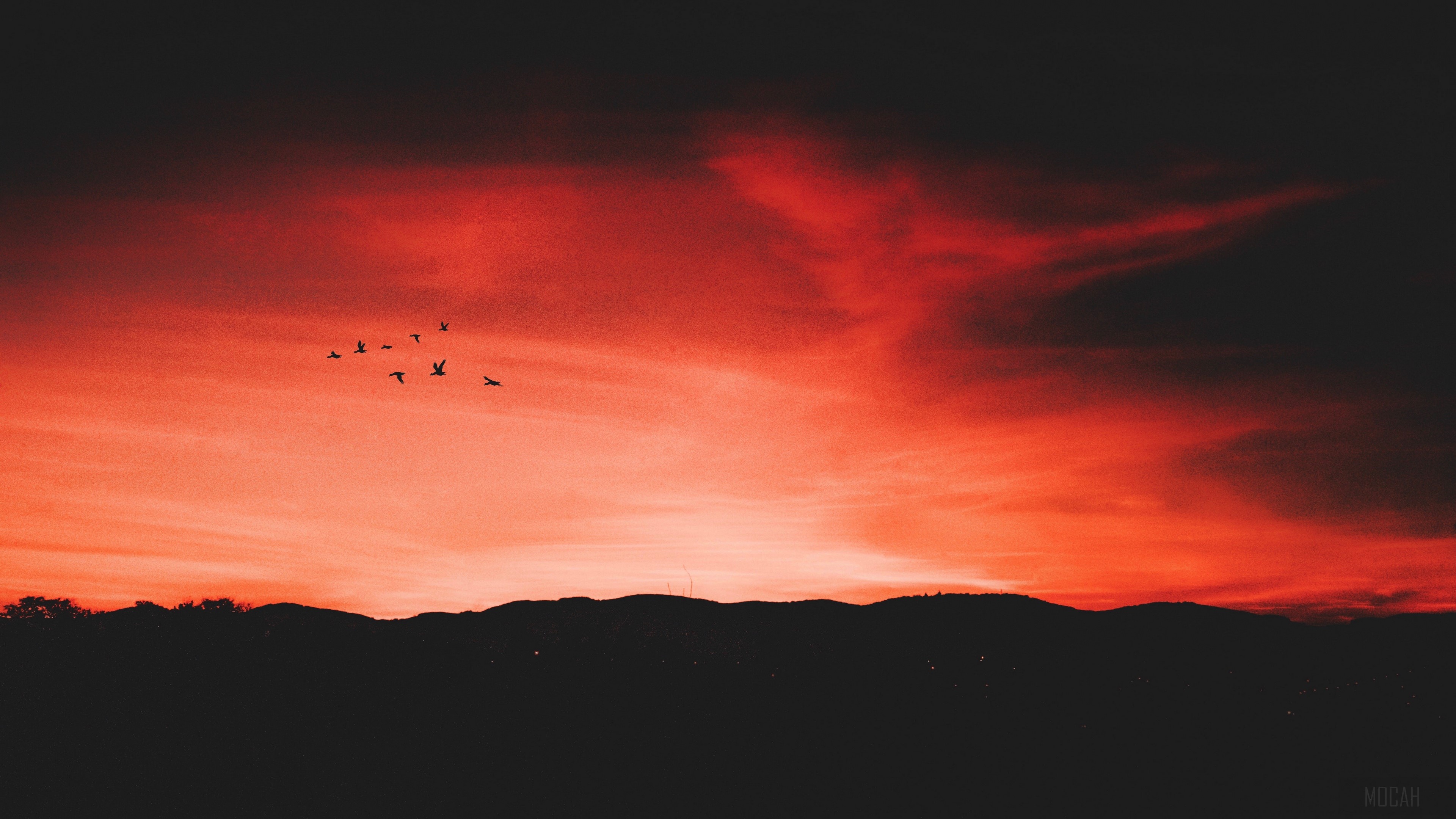 Birds flying over mountains at sunset 4K HD Wallpaper