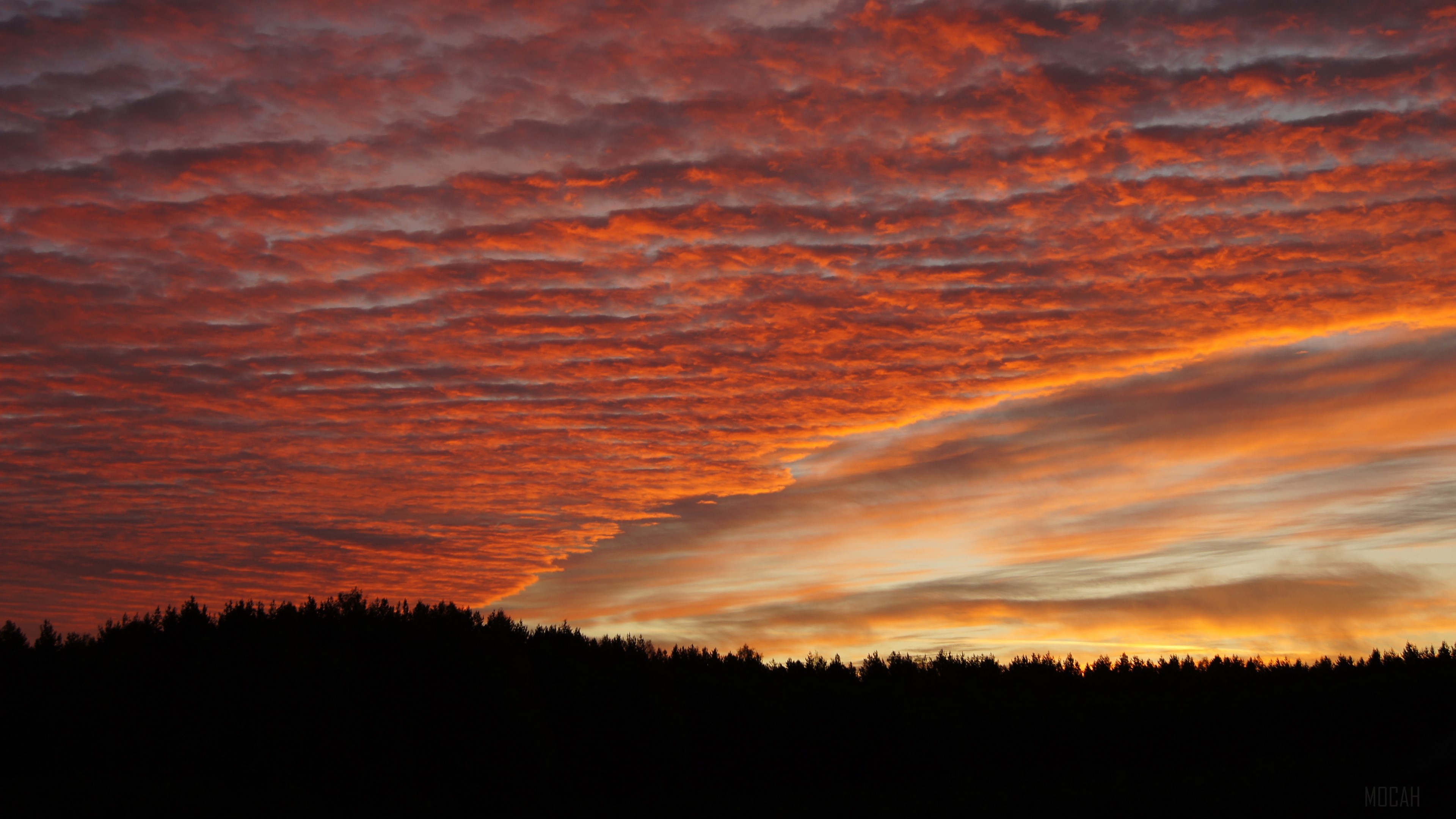 Sunset clouds over forest silhouette 4K HD Wallpaper