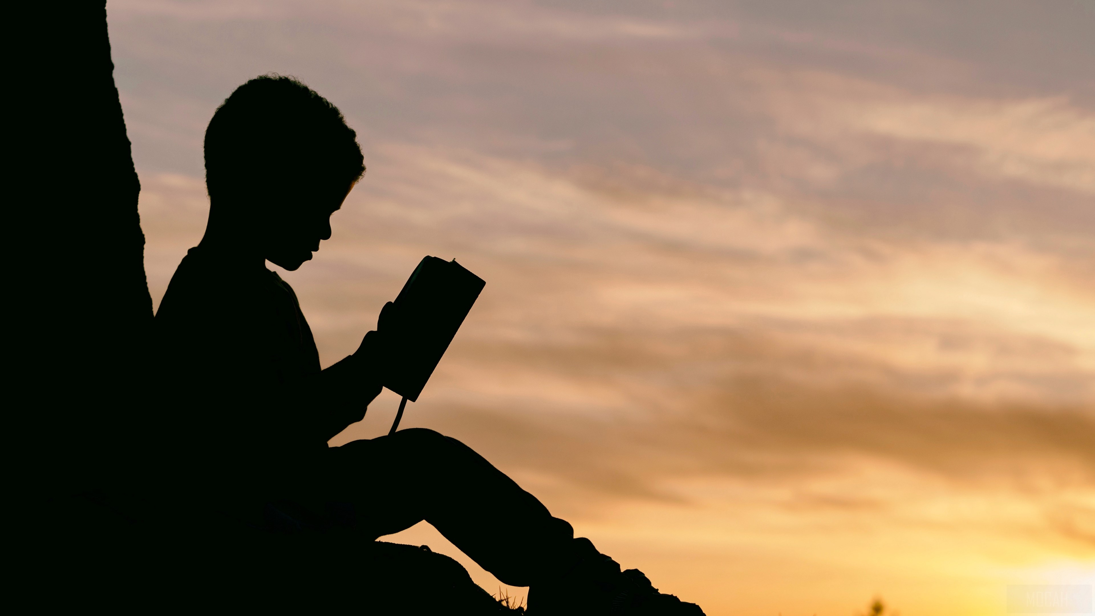 Child reading a book at sunset HD Wallpaper
