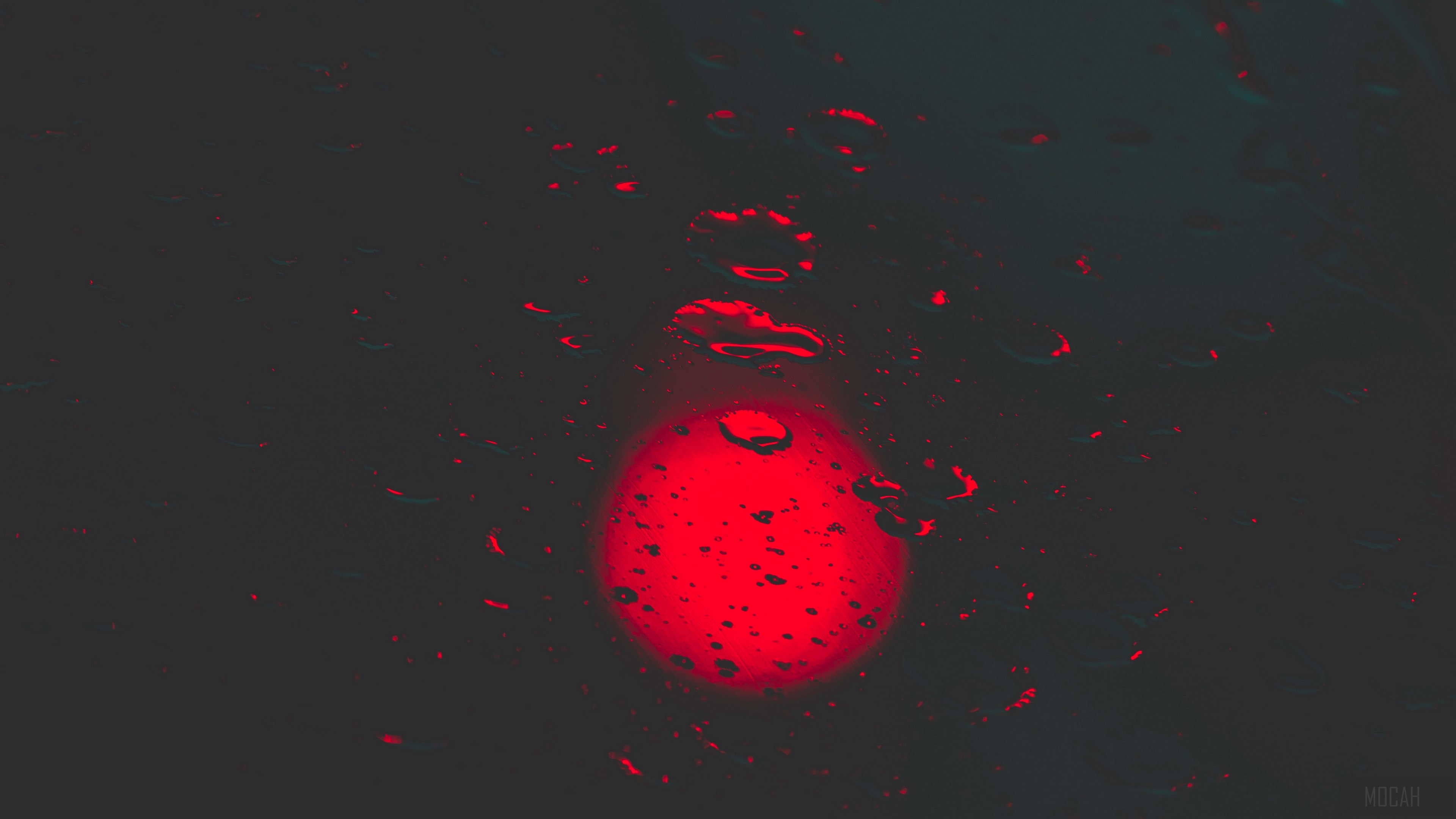 Red light and drops on a dark surface 4K HD Wallpaper