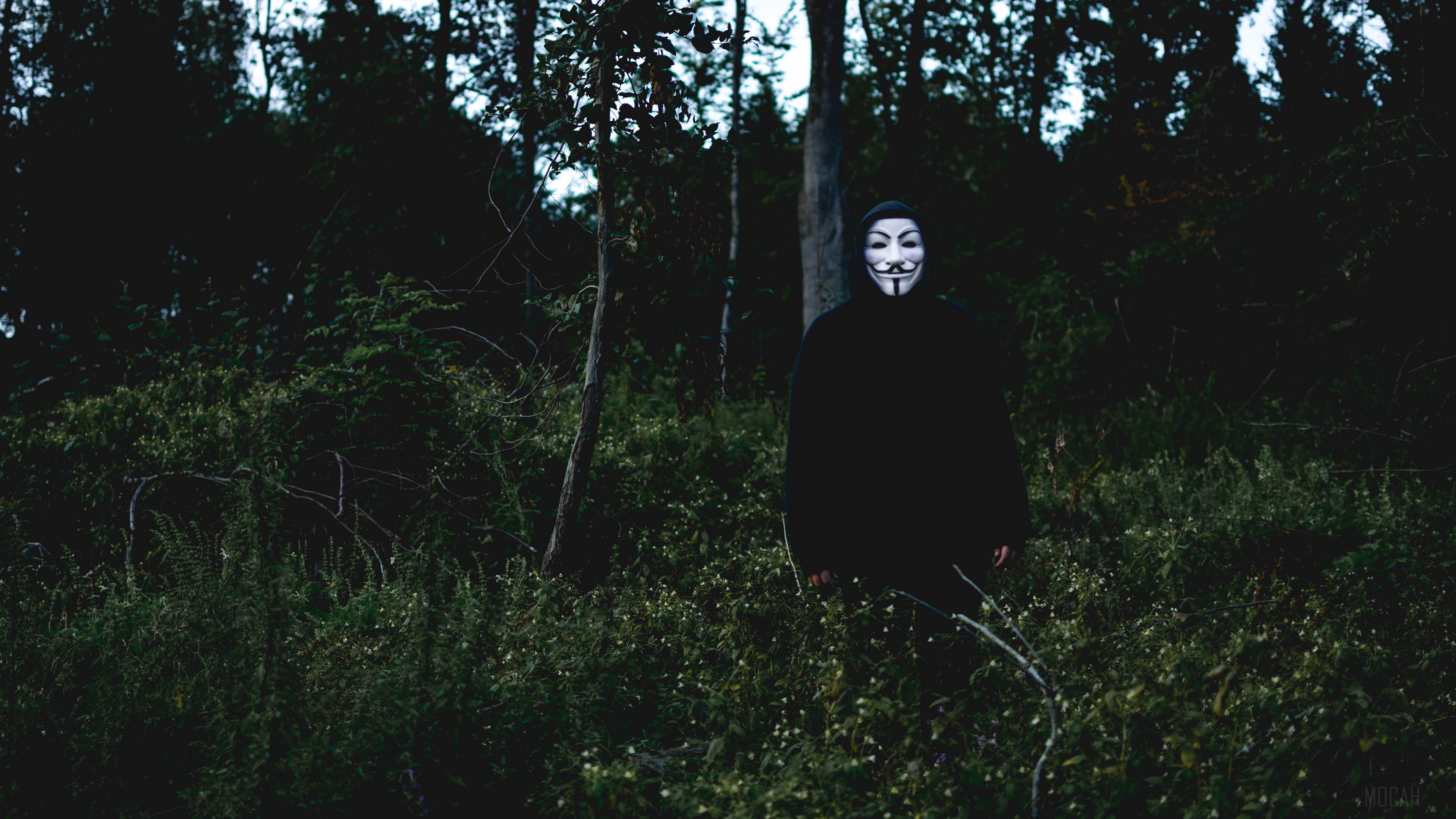 Man in Anonymous mask in forest HD Wallpaper