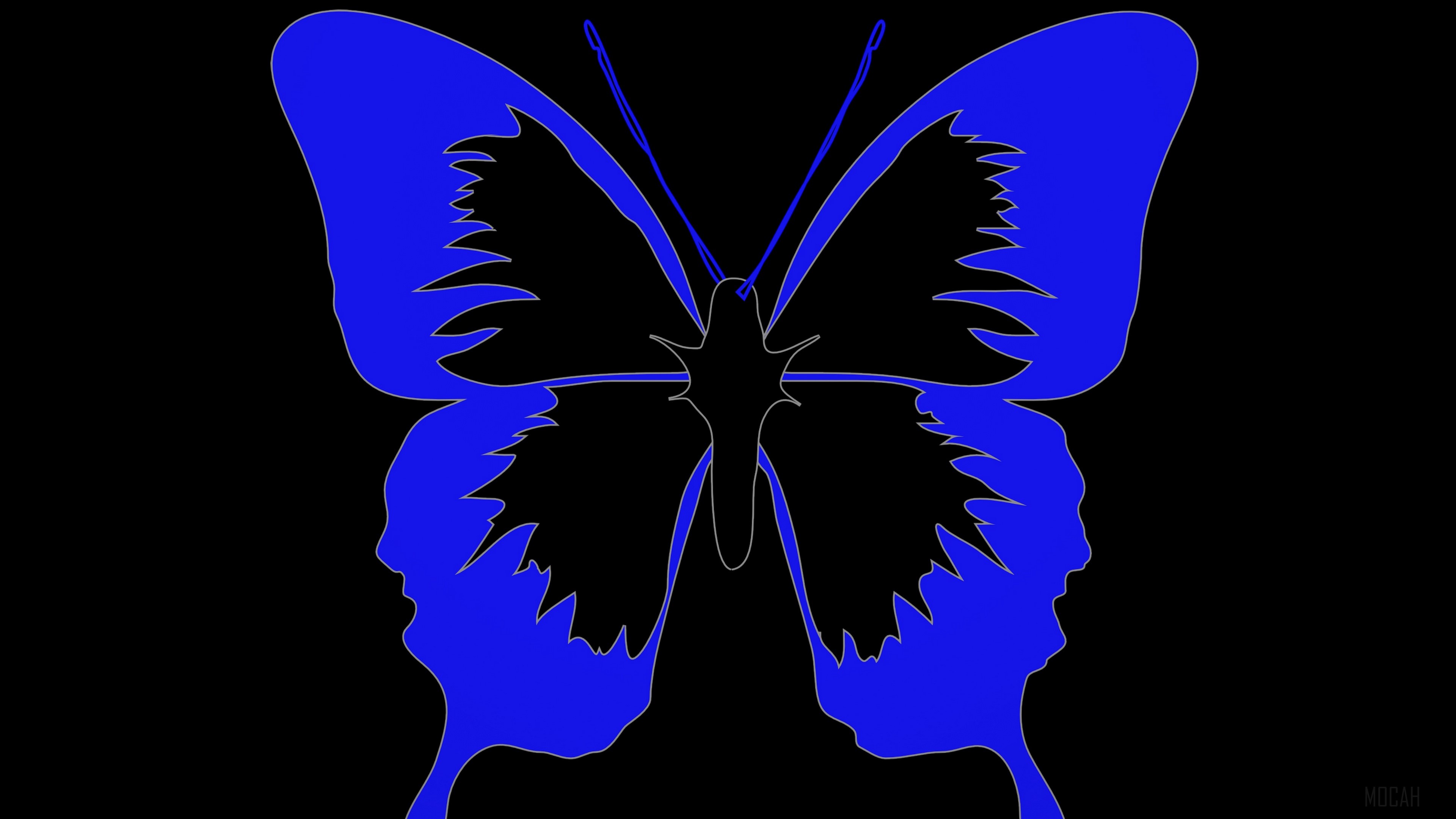 Minimalist blue butterfly 4K HD Wallpaper