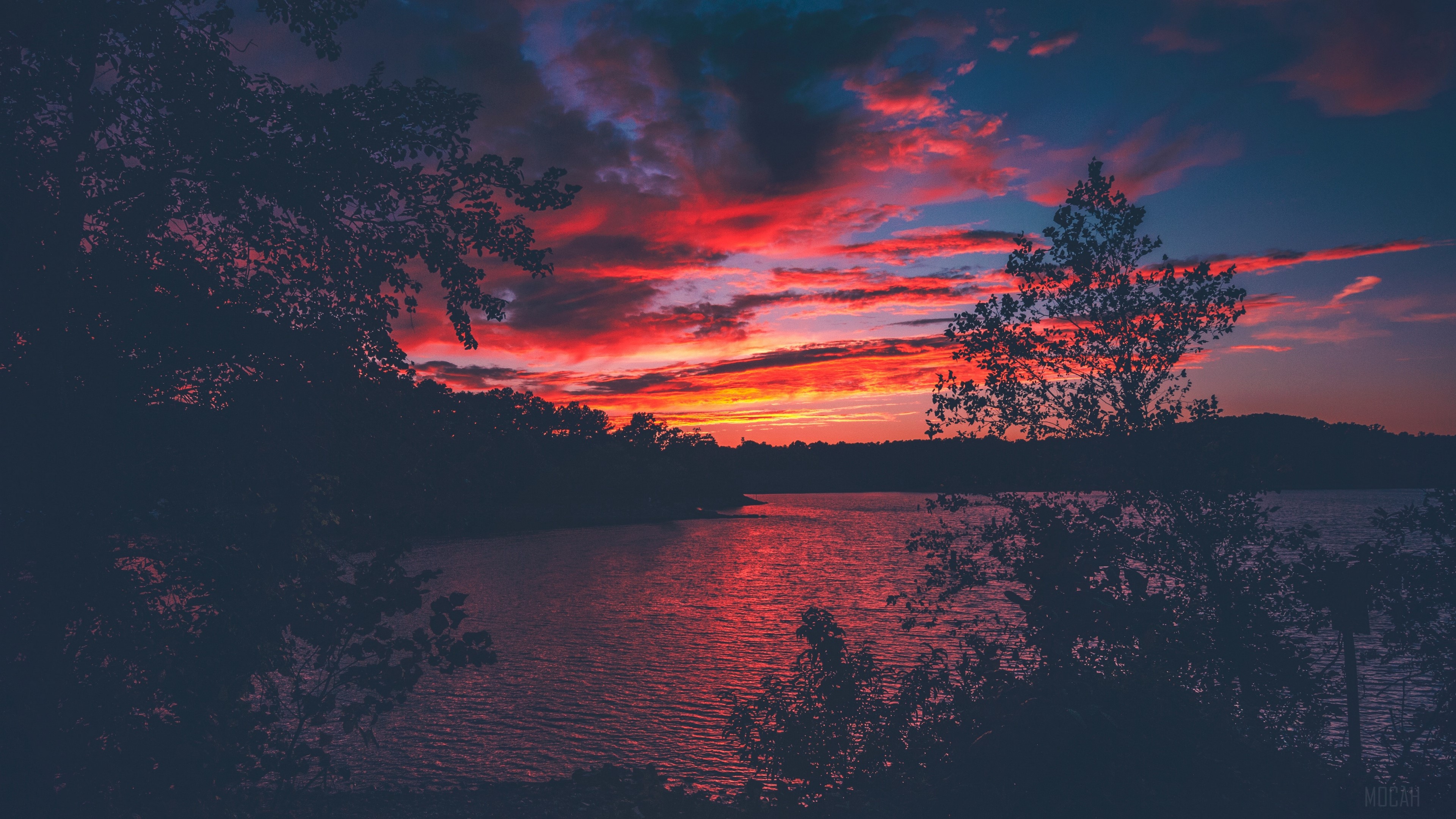 Sunset over Lake Lanier with silhouetted trees HD Wallpaper