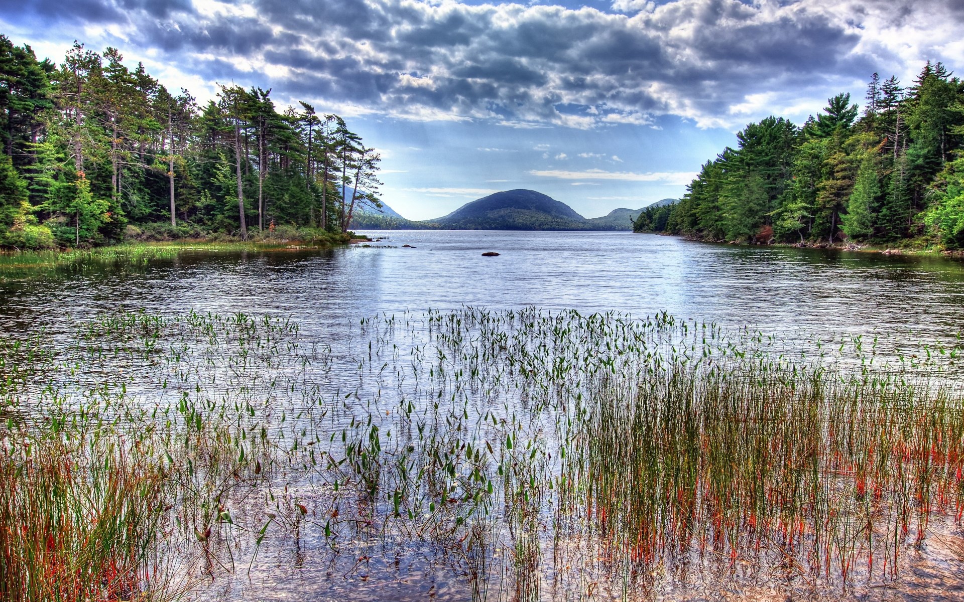 Lake with trees and a distant mountain HD Wallpaper