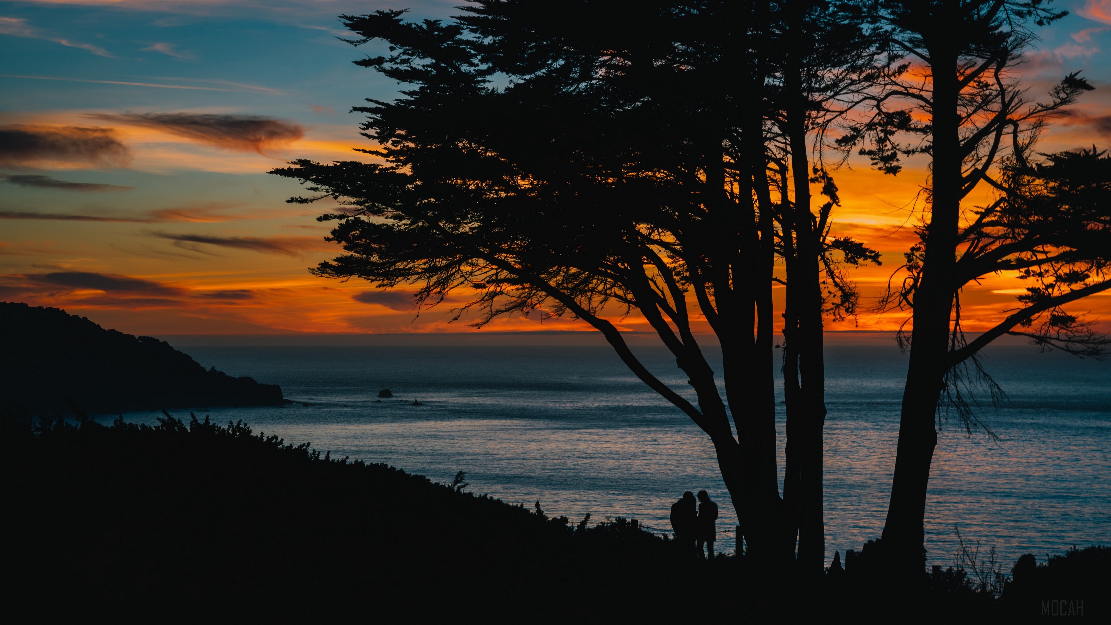 Silhouettes of trees and a couple at sunset over the sea HD Wallpaper