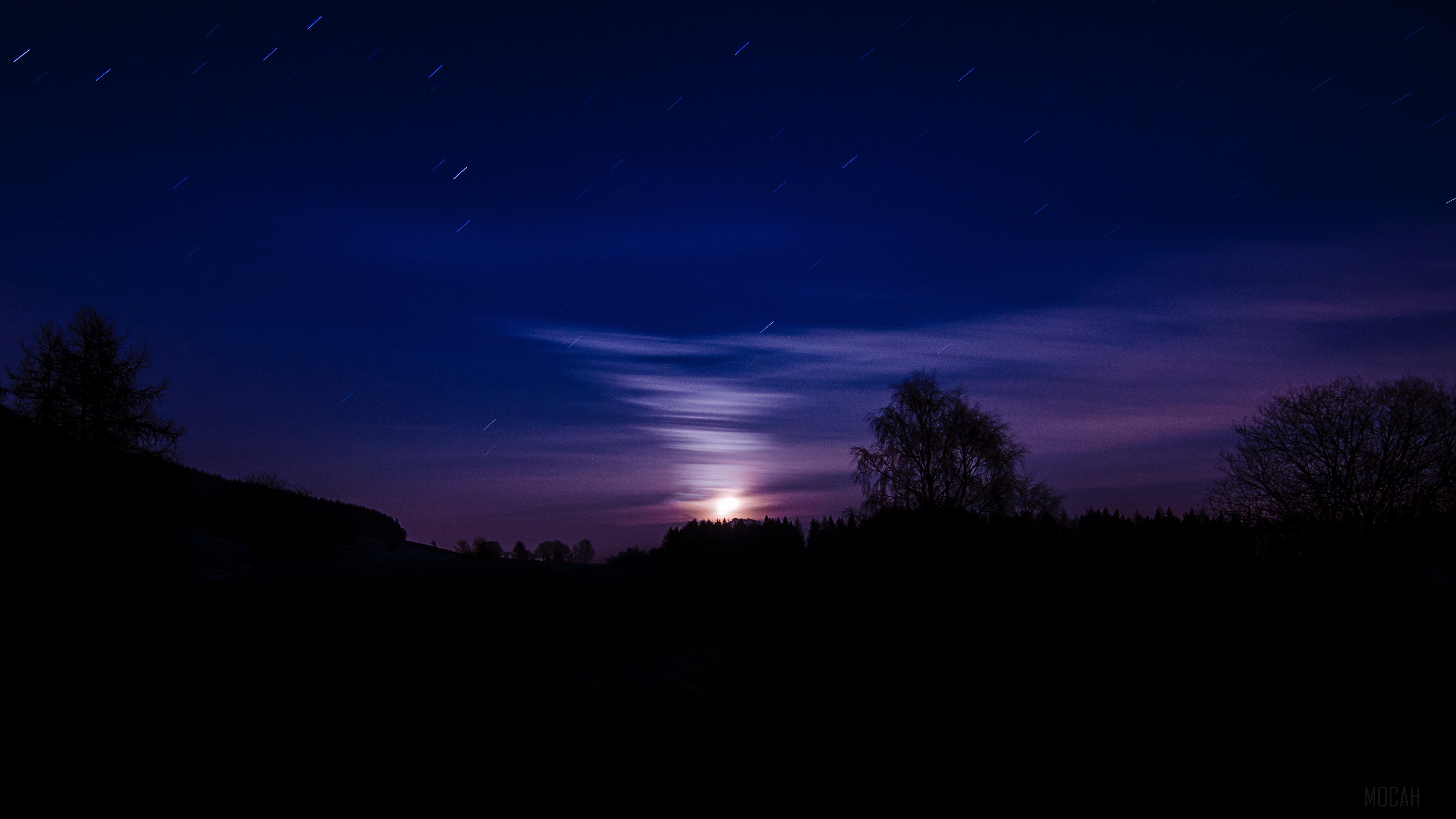Night sky with moon and stars over silhouetted trees HD Wallpaper