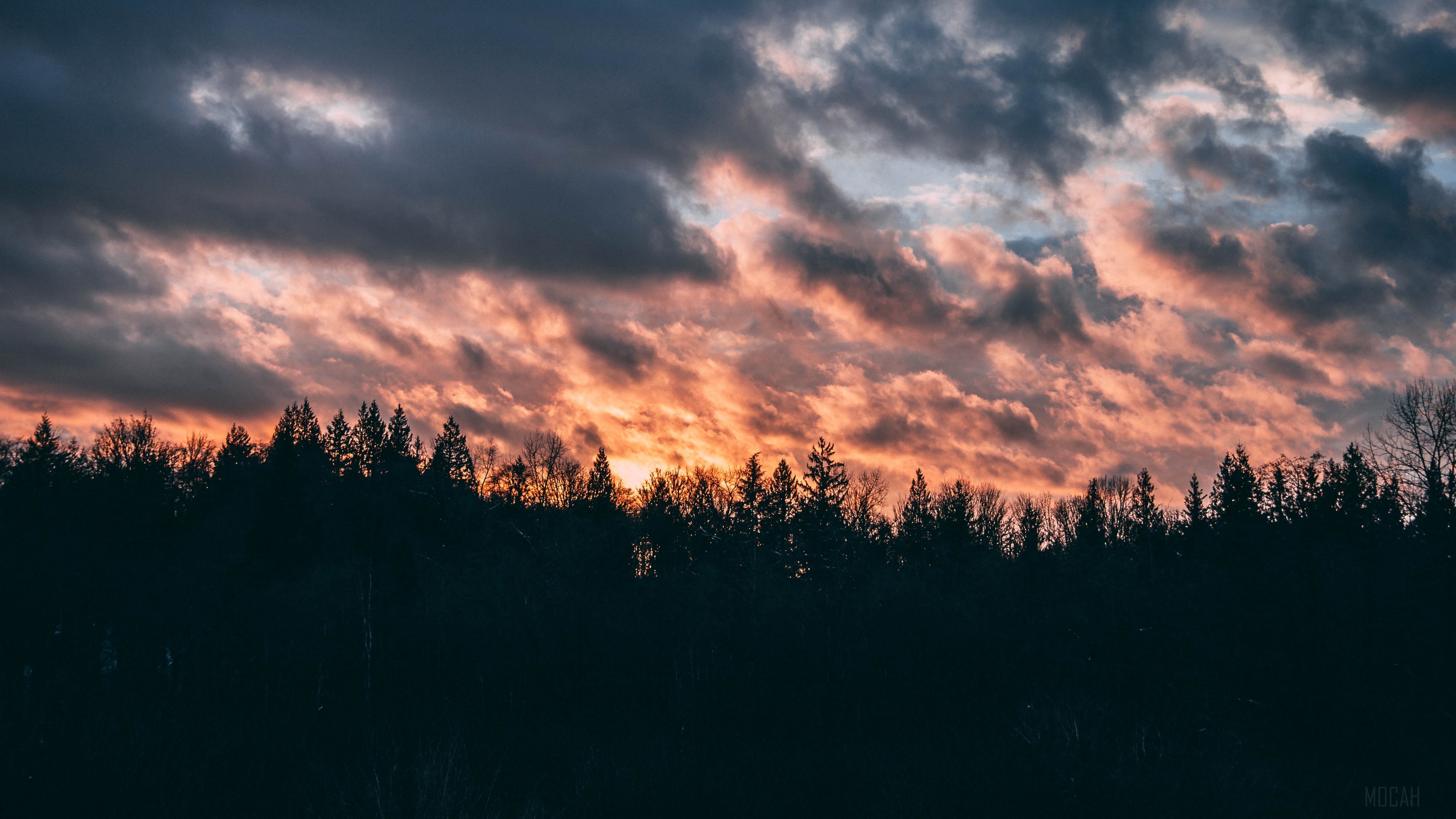 Sunset clouds over a dark forest 4K HD Wallpaper
