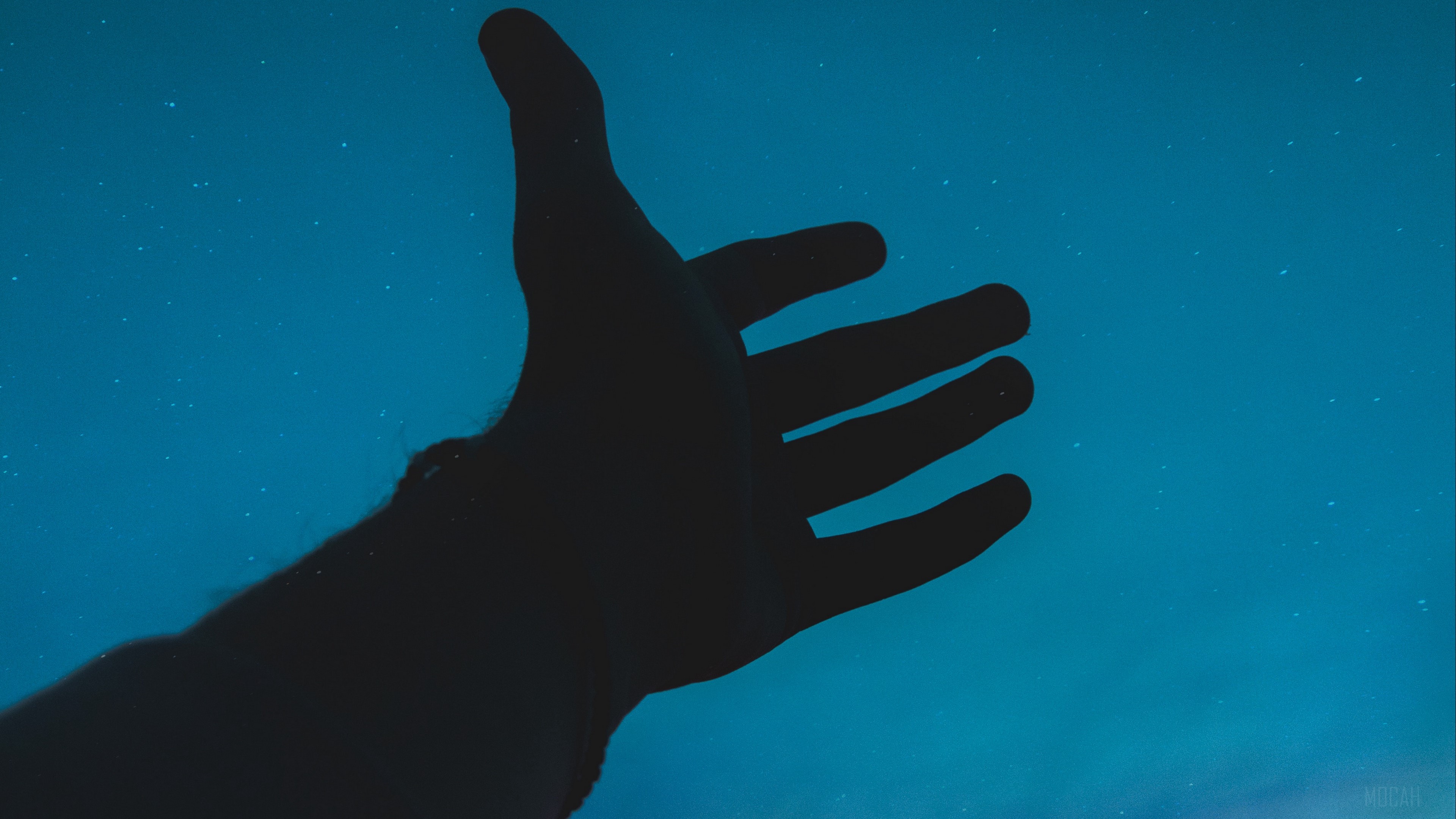 Silhouette of a hand against a starry blue sky 4K HD Wallpaper