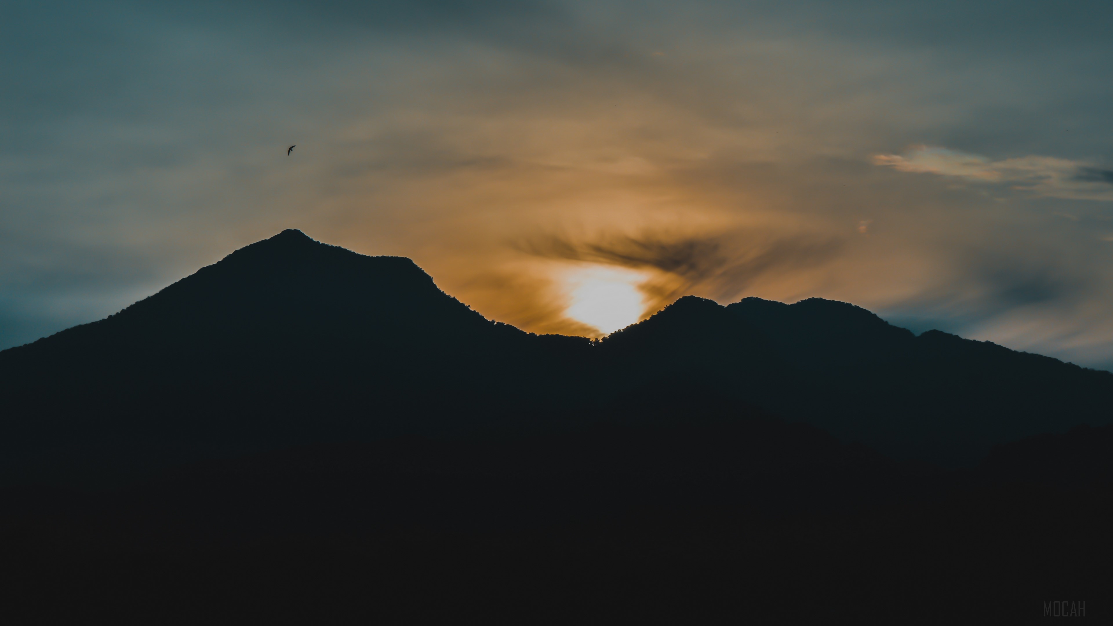 Silhouette of mountains at sunset with a bird flying HD Wallpaper