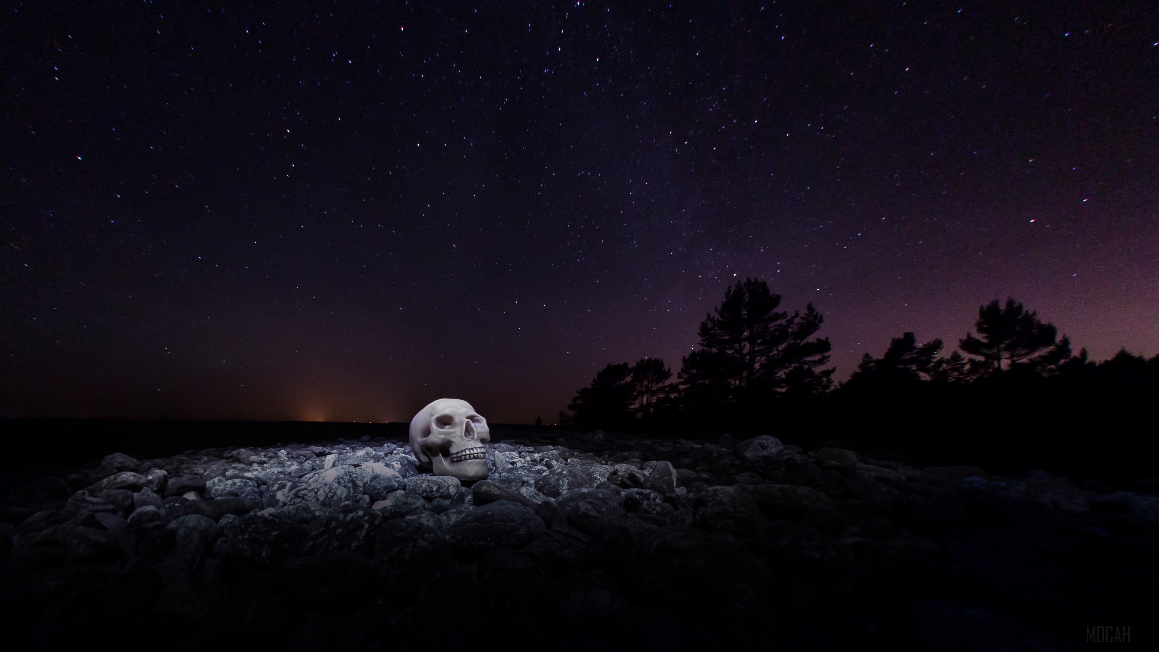 Skull on stones under a starry night sky HD Wallpaper