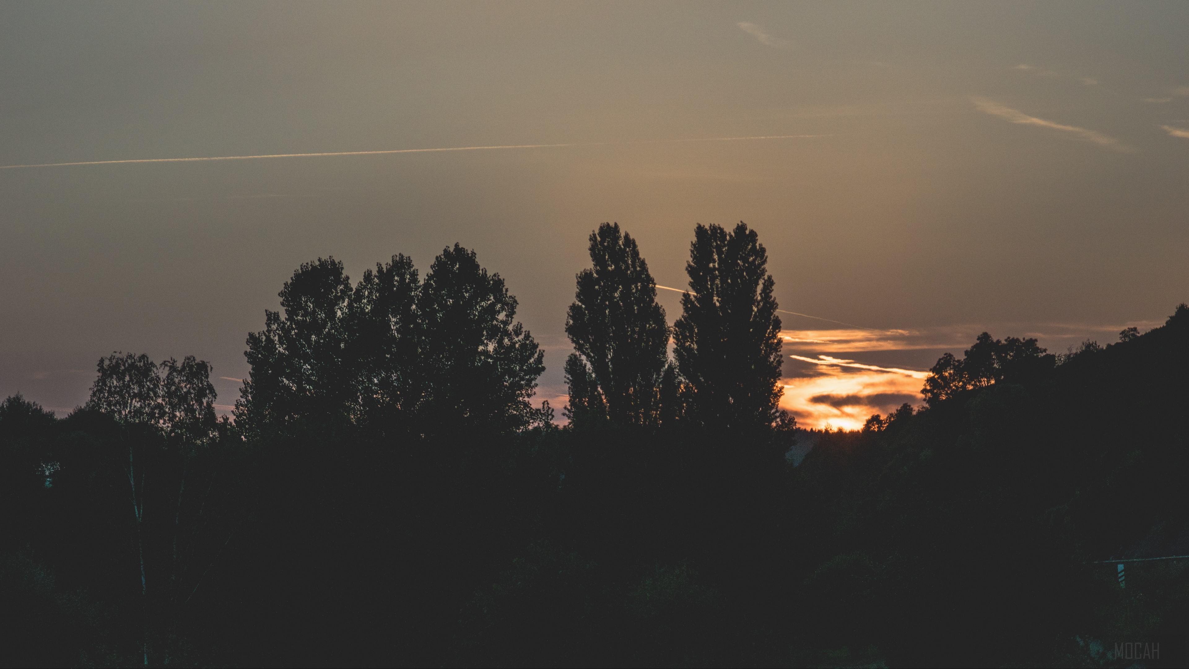 Trees silhouetted against sunset sky with contrails HD Wallpaper