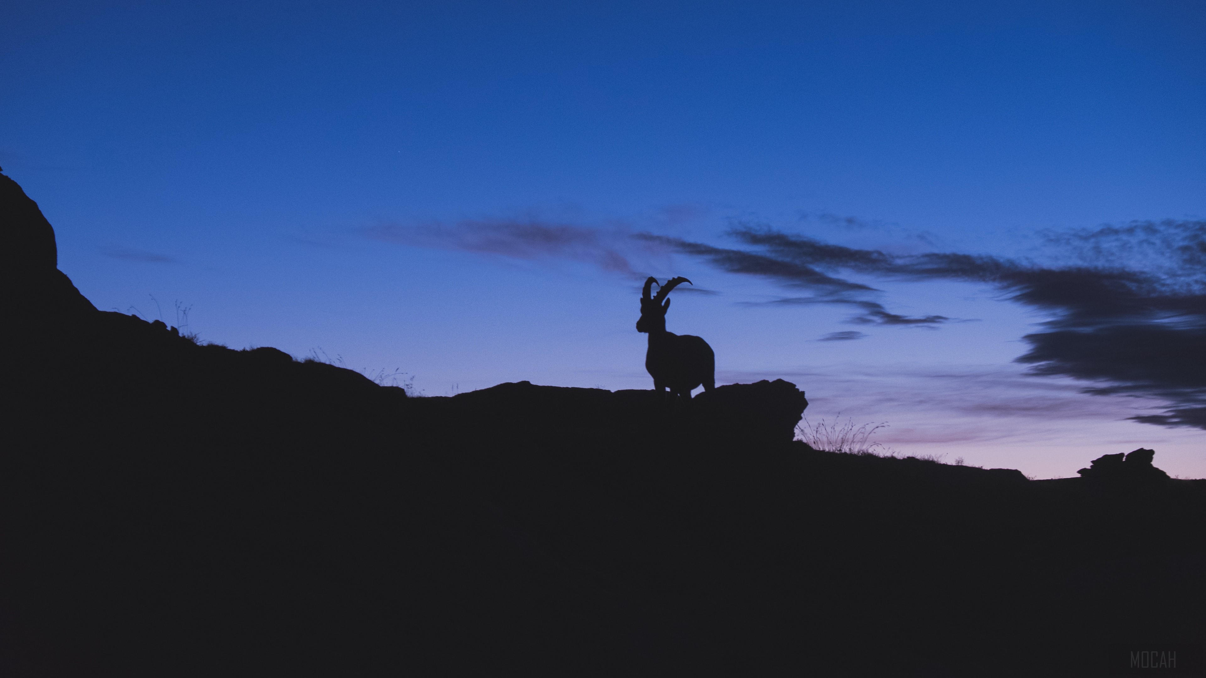 Mountain goat silhouette at dusk HD Wallpaper