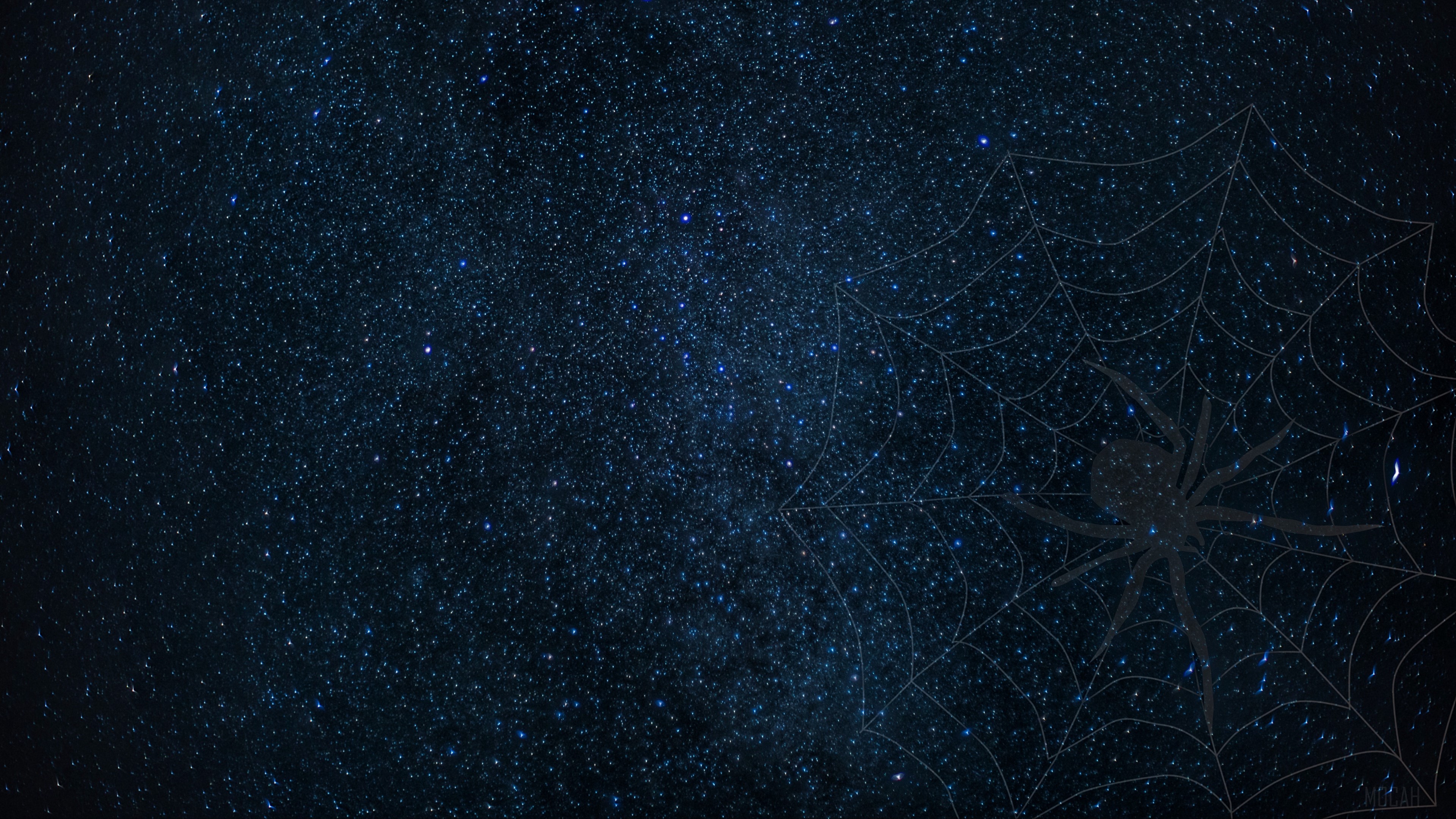 Spider on a cobweb against a starry sky 4K HD Wallpaper