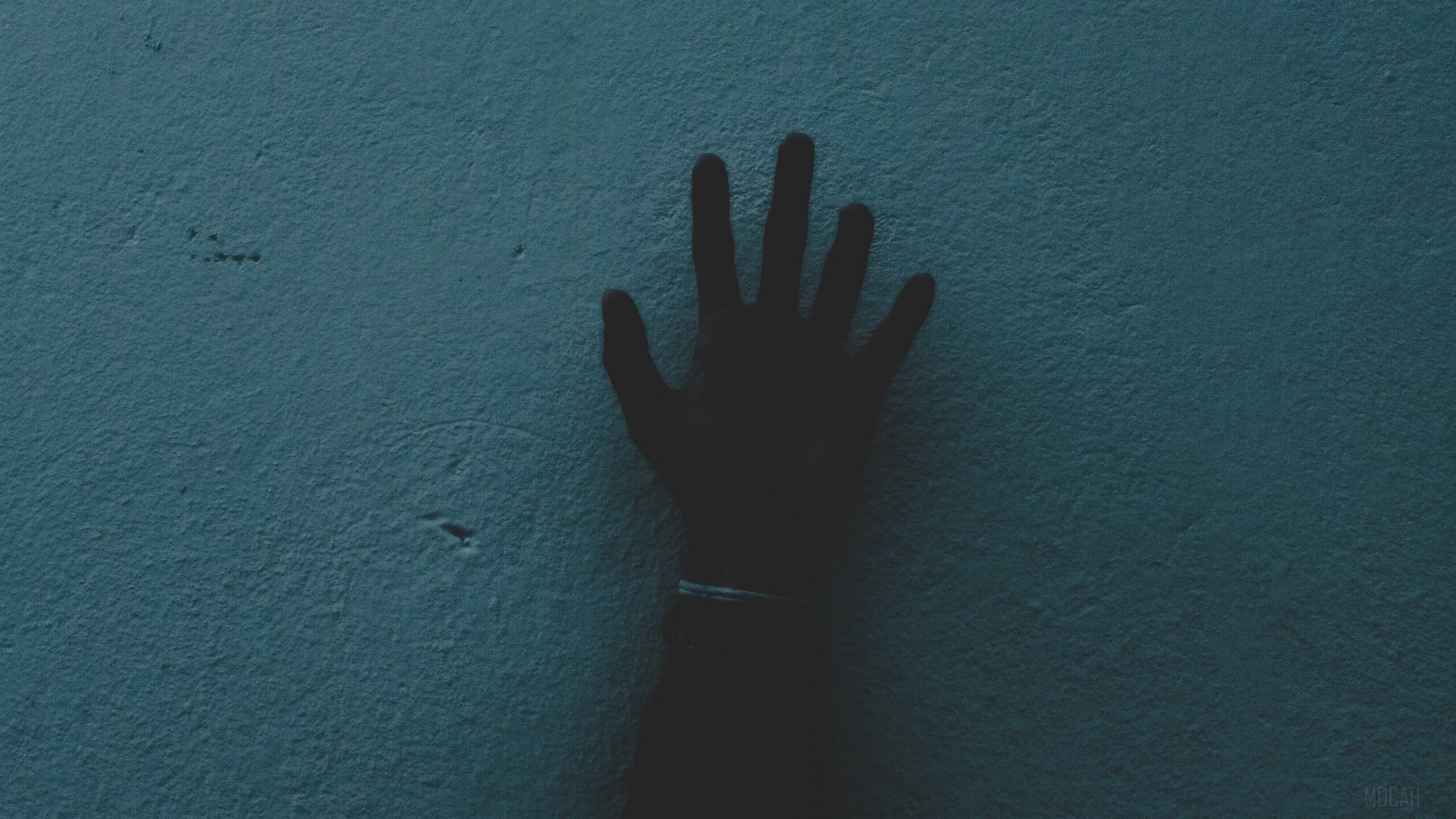Silhouette of a hand against a dark blue wall HD Wallpaper