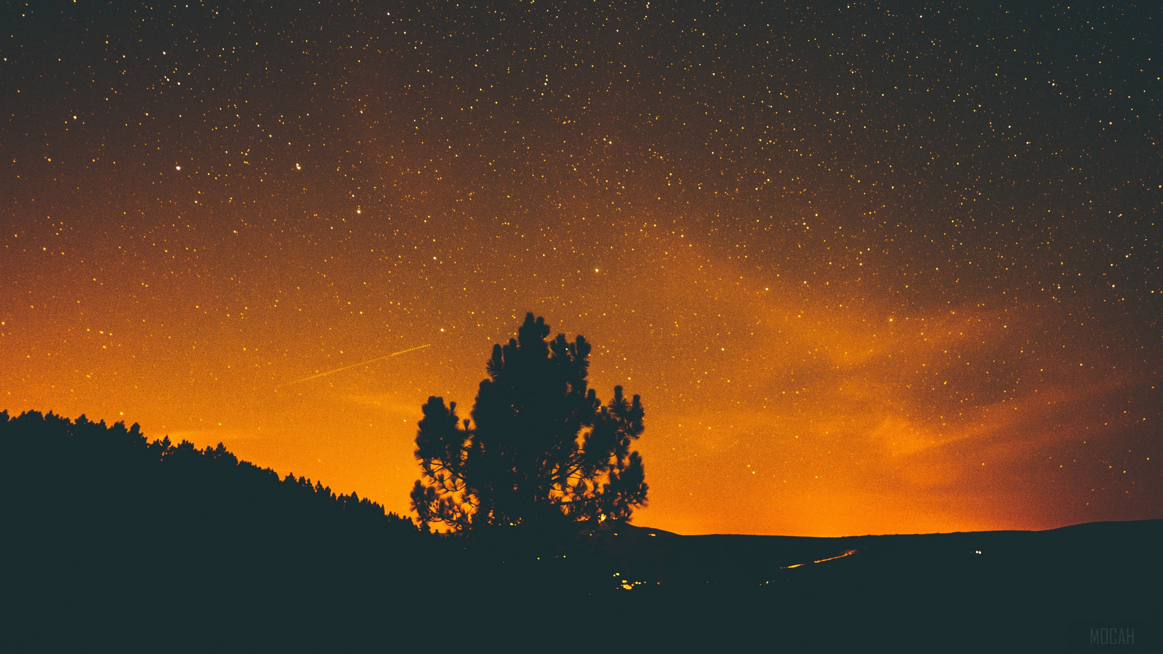 Night sky with stars and a silhouette tree HD Wallpaper