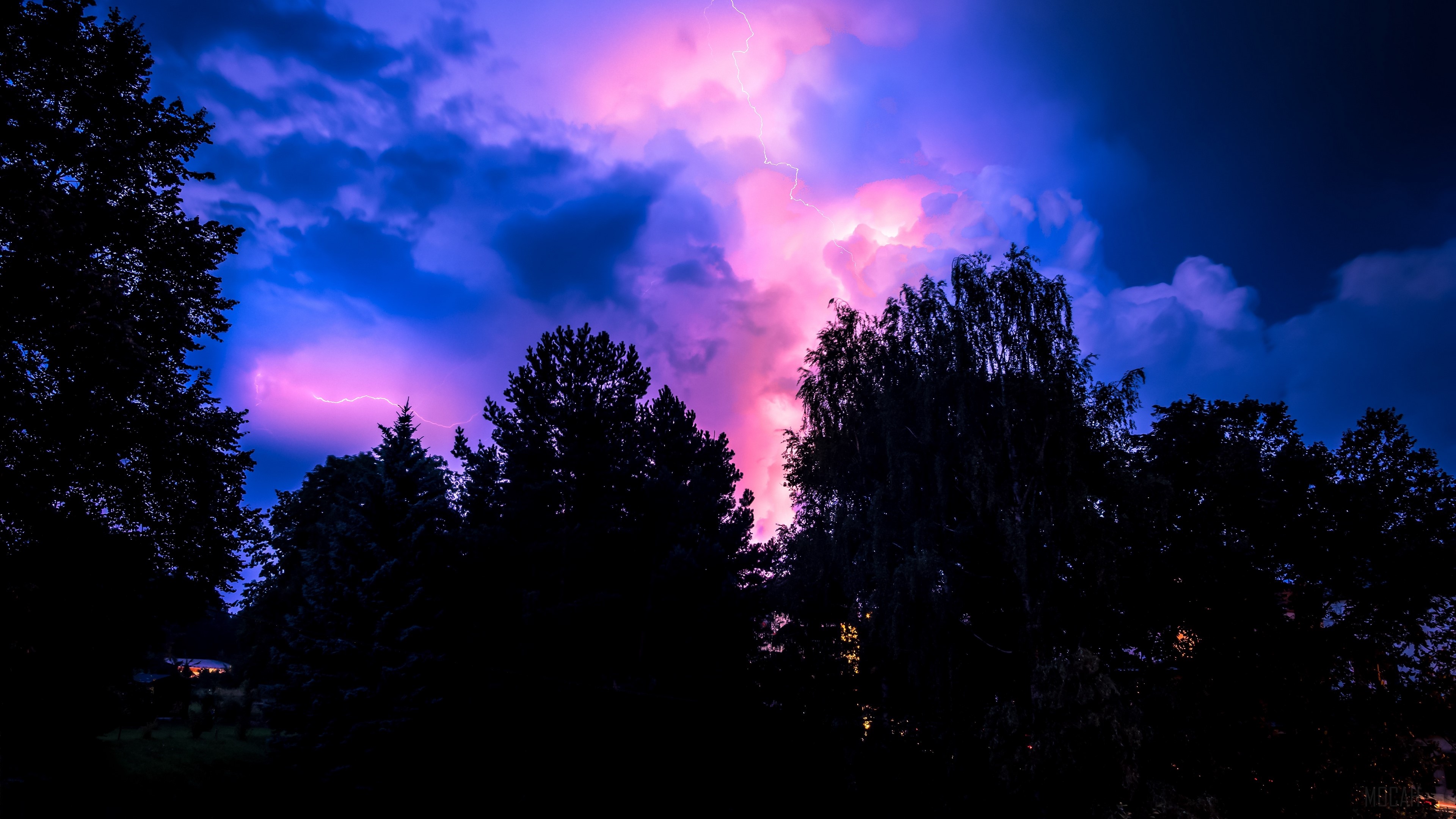 Lightning storm over trees at night 4K HD Wallpaper