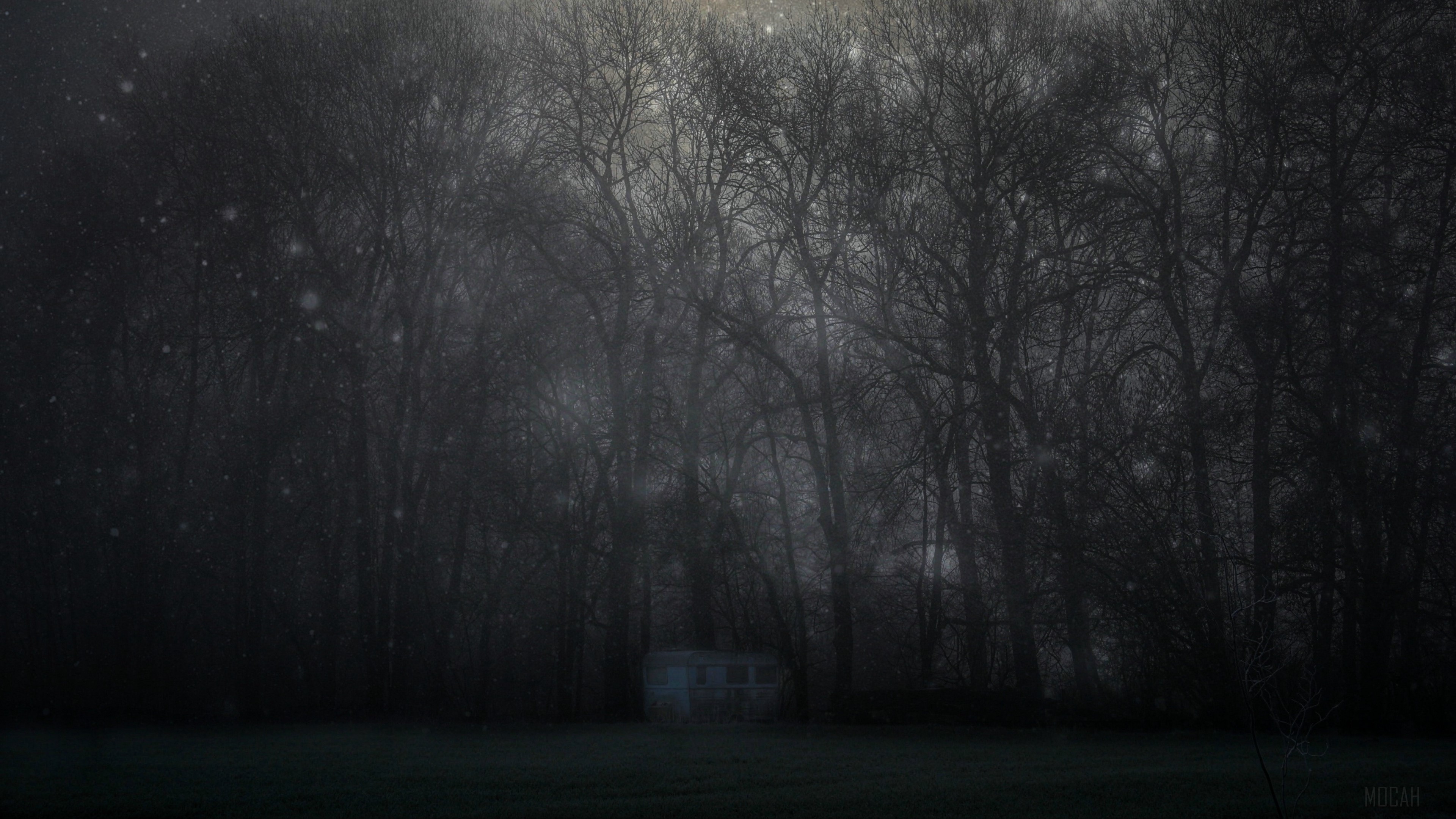 Mystical foggy forest with a small building at night HD Wallpaper