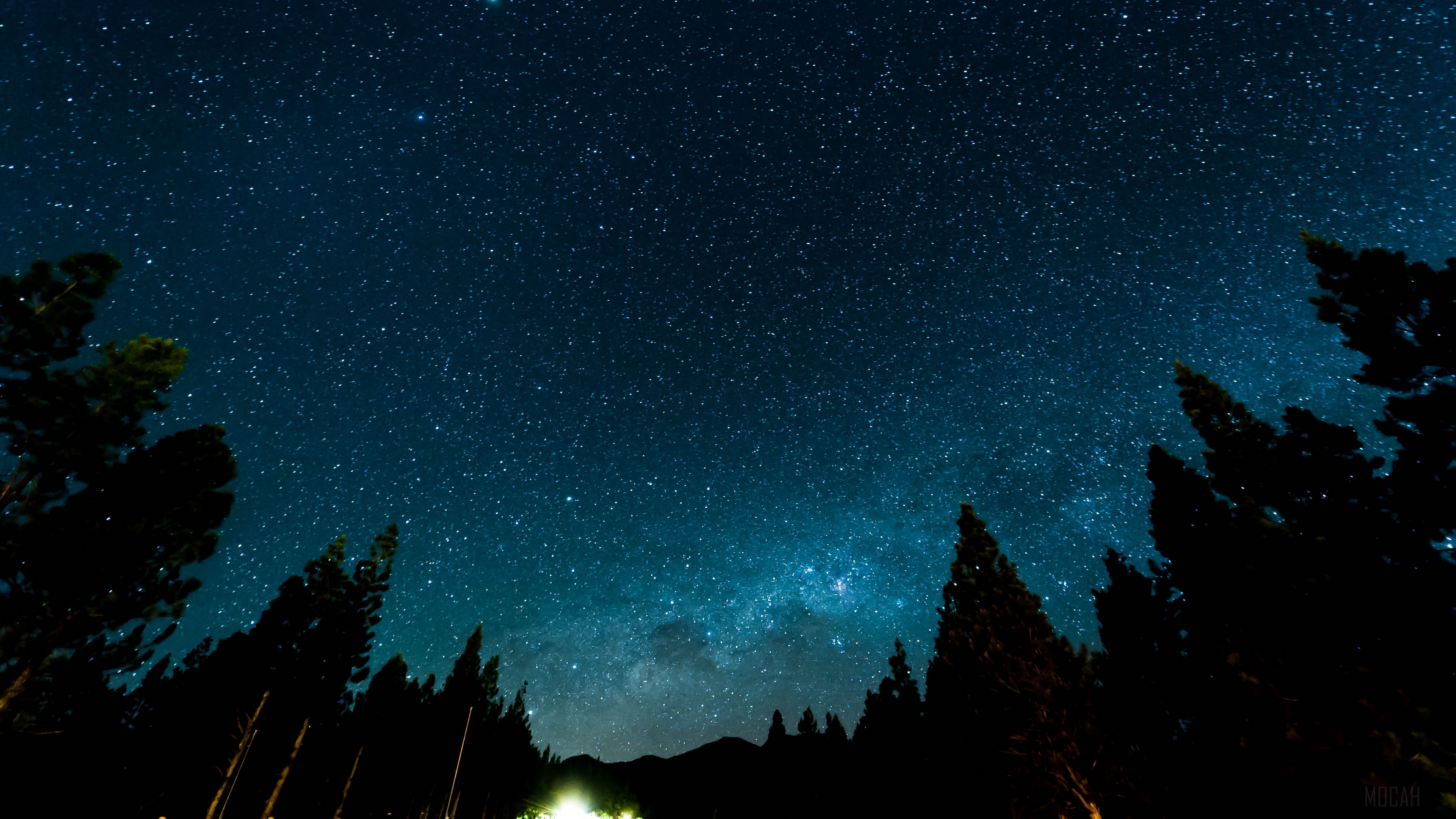 Starry night sky over a forest HD Wallpaper