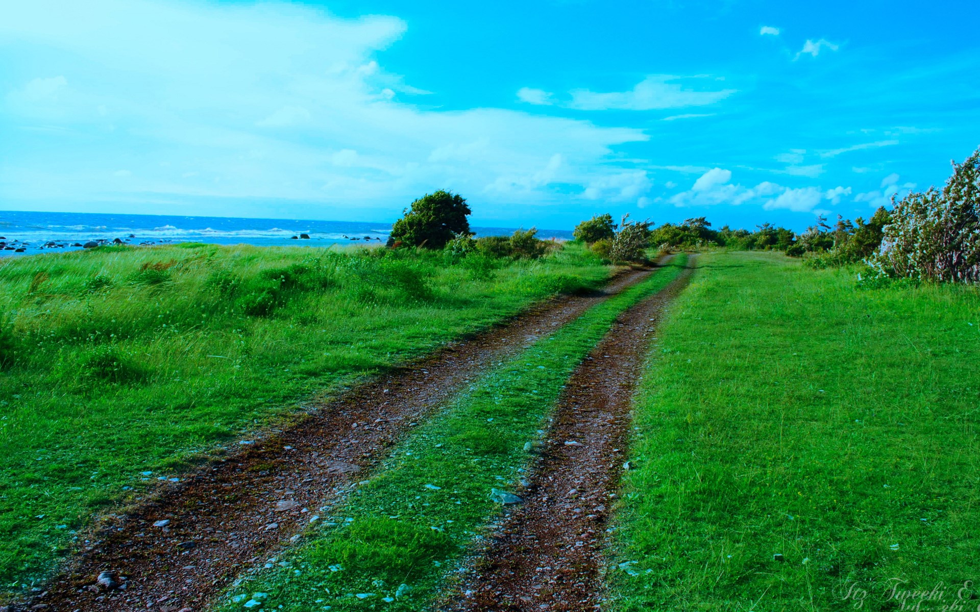 Dirt road through a grassy field towards the ocean HD Wallpaper