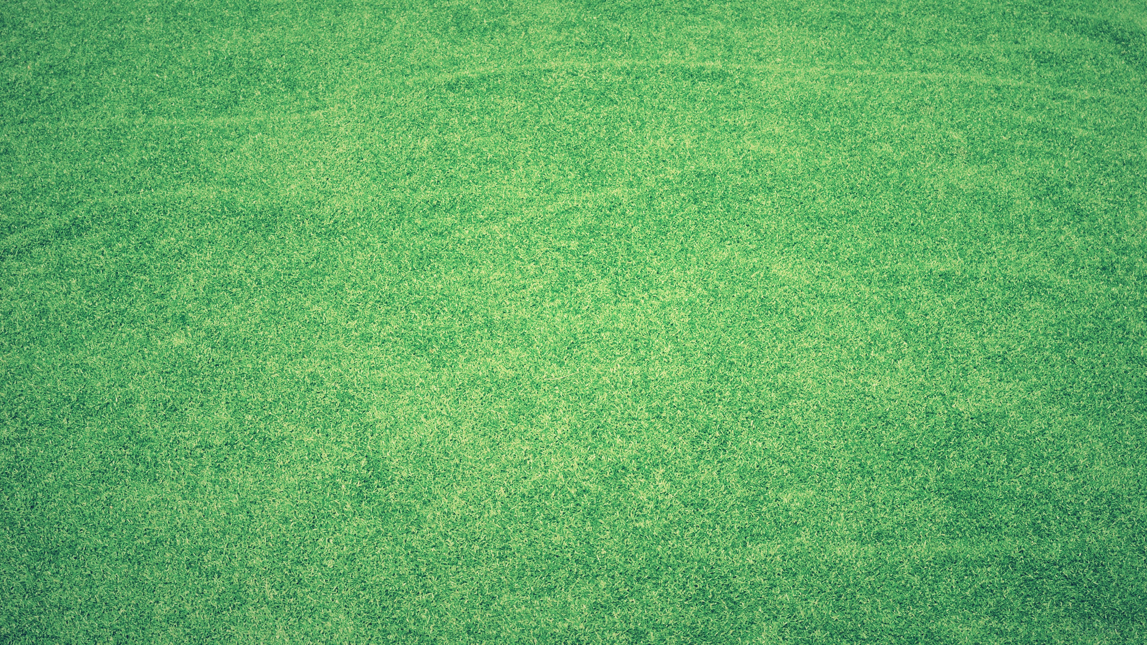 Green Grass Abstract Background 4K HD Wallpaper