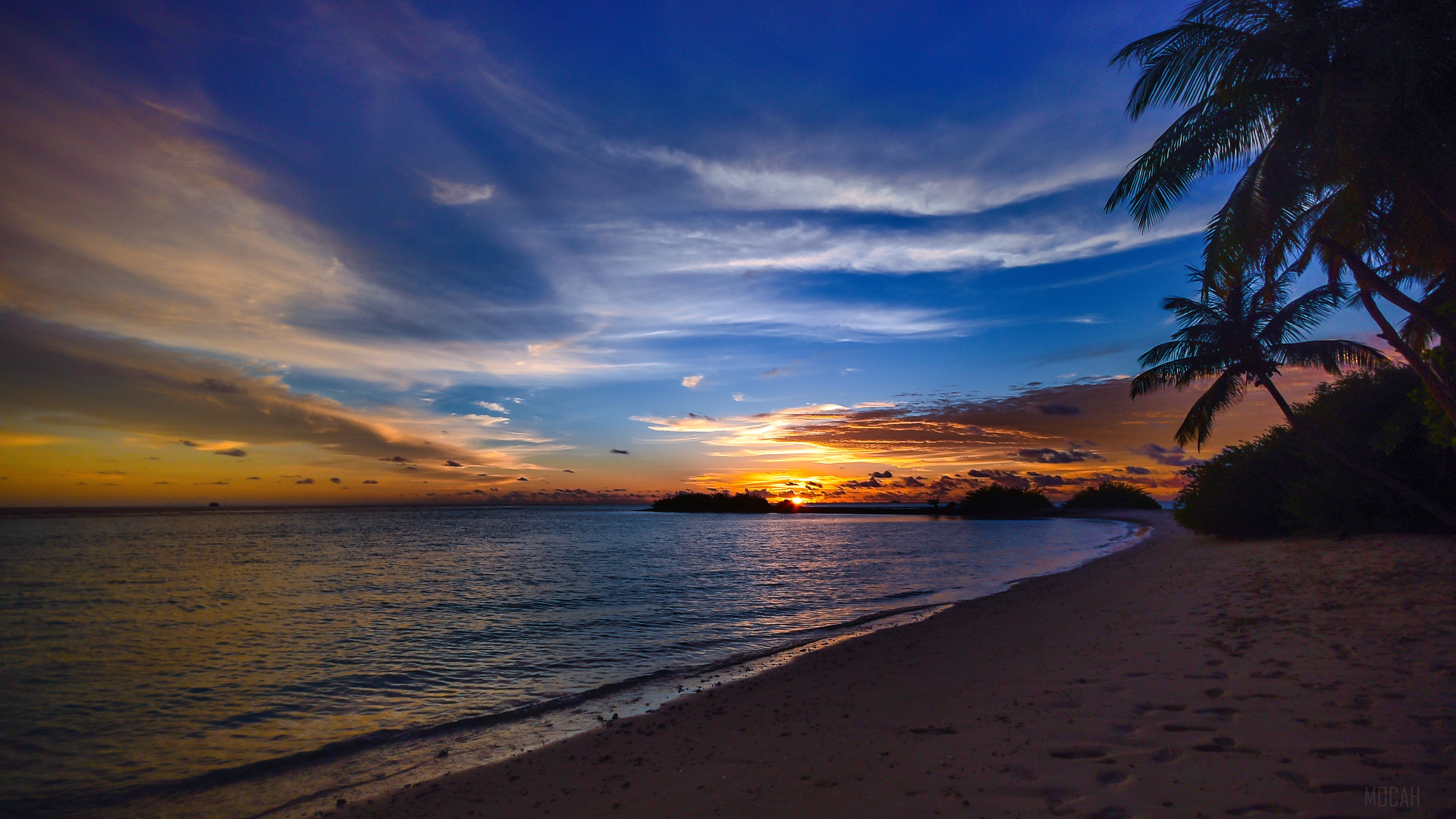 Beach with Palm Trees at Sunset 4K HD Wallpaper