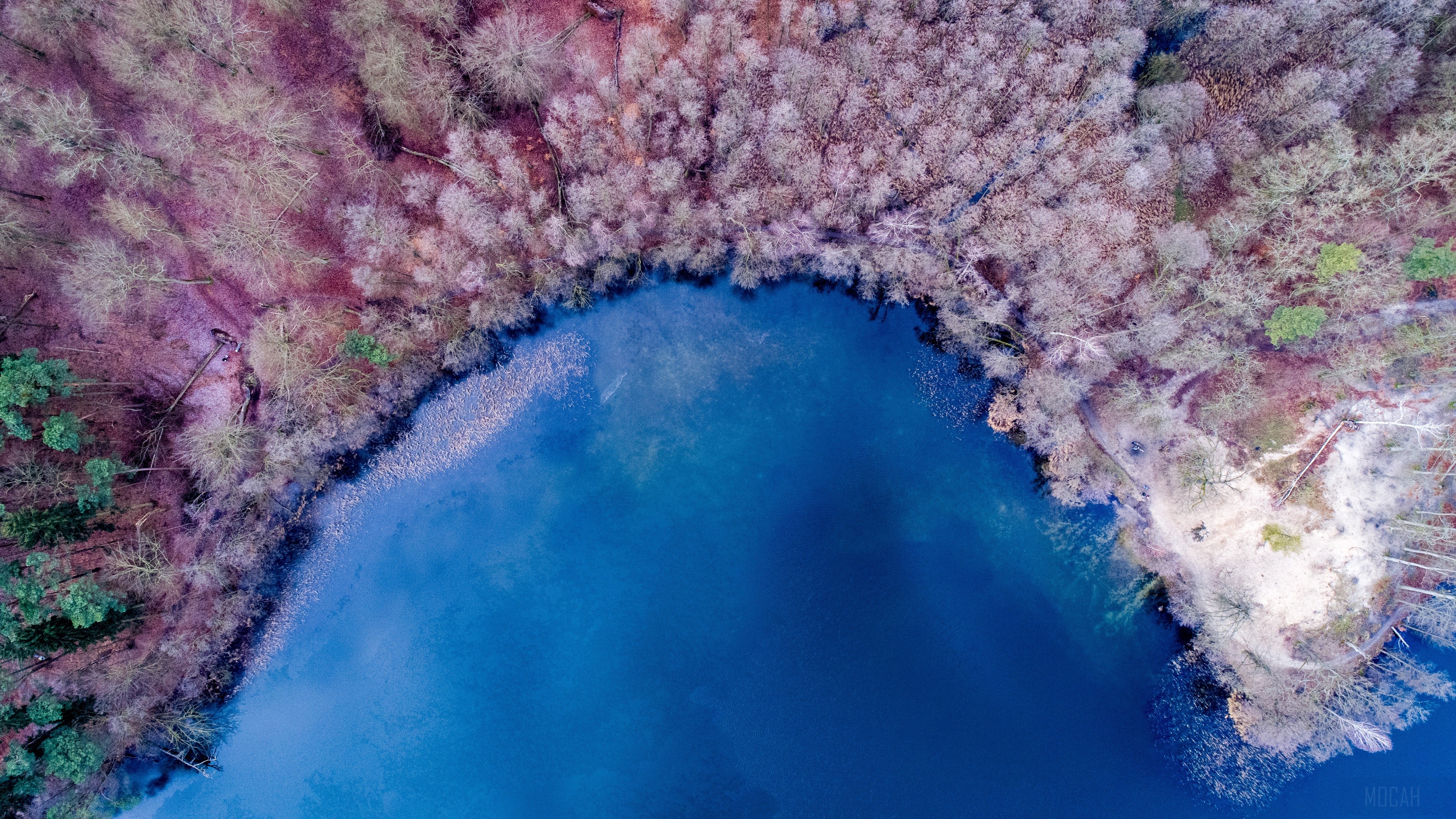 Aerial view of a lake surrounded by a colorful forest HD Wallpaper