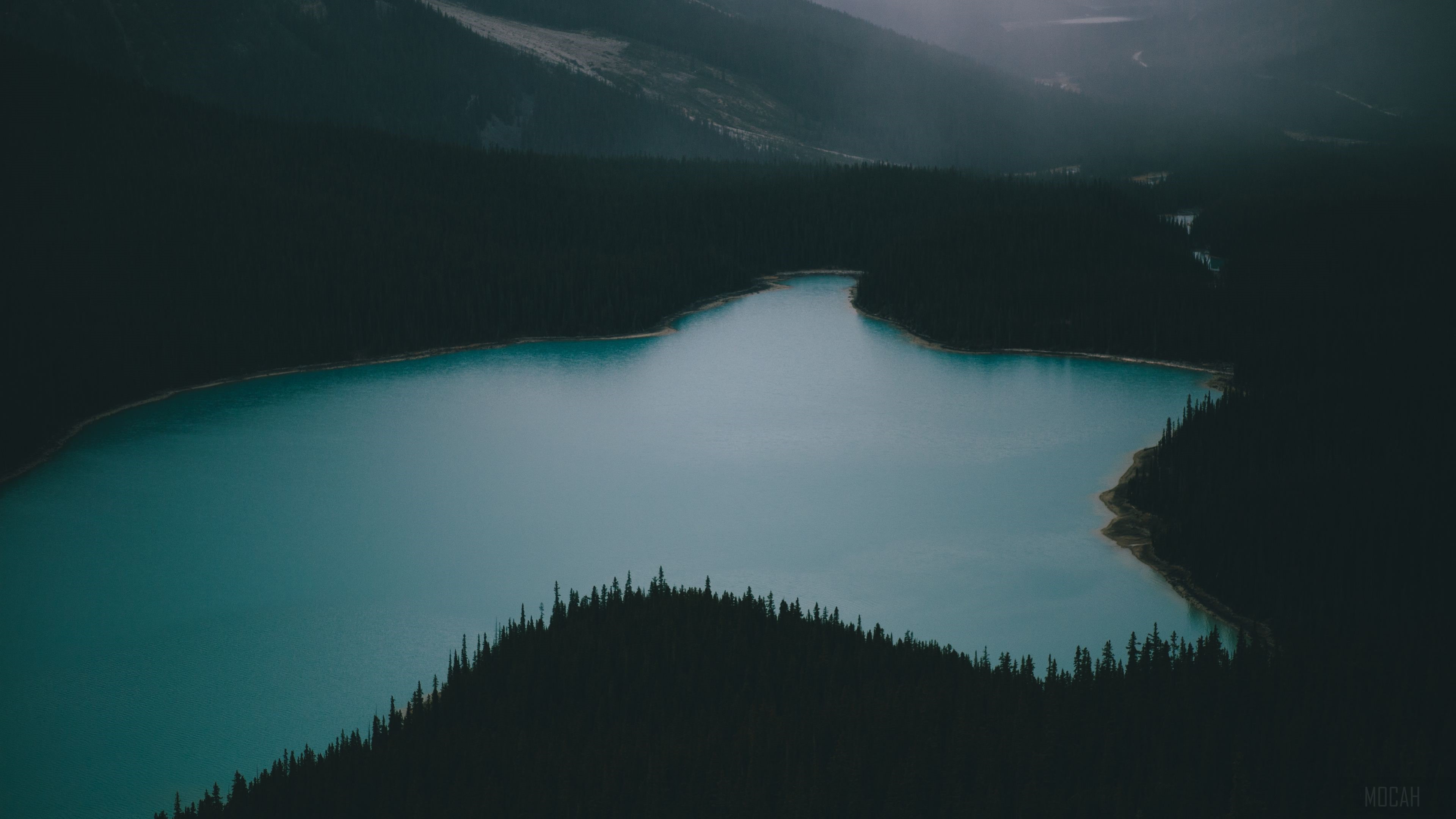 Peyto Lake HD Wallpaper