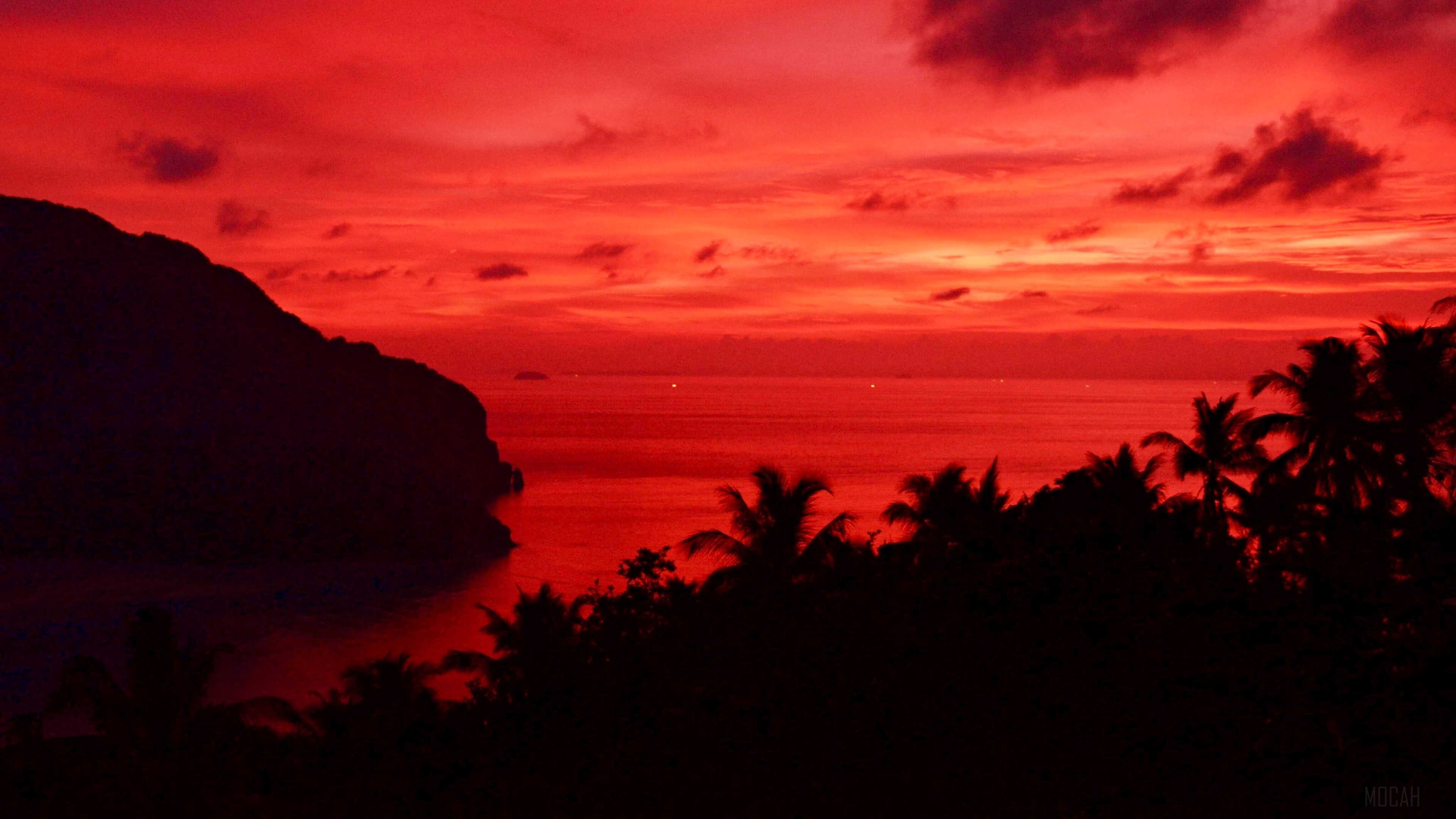 Sunset over ocean with palm trees and island HD Wallpaper