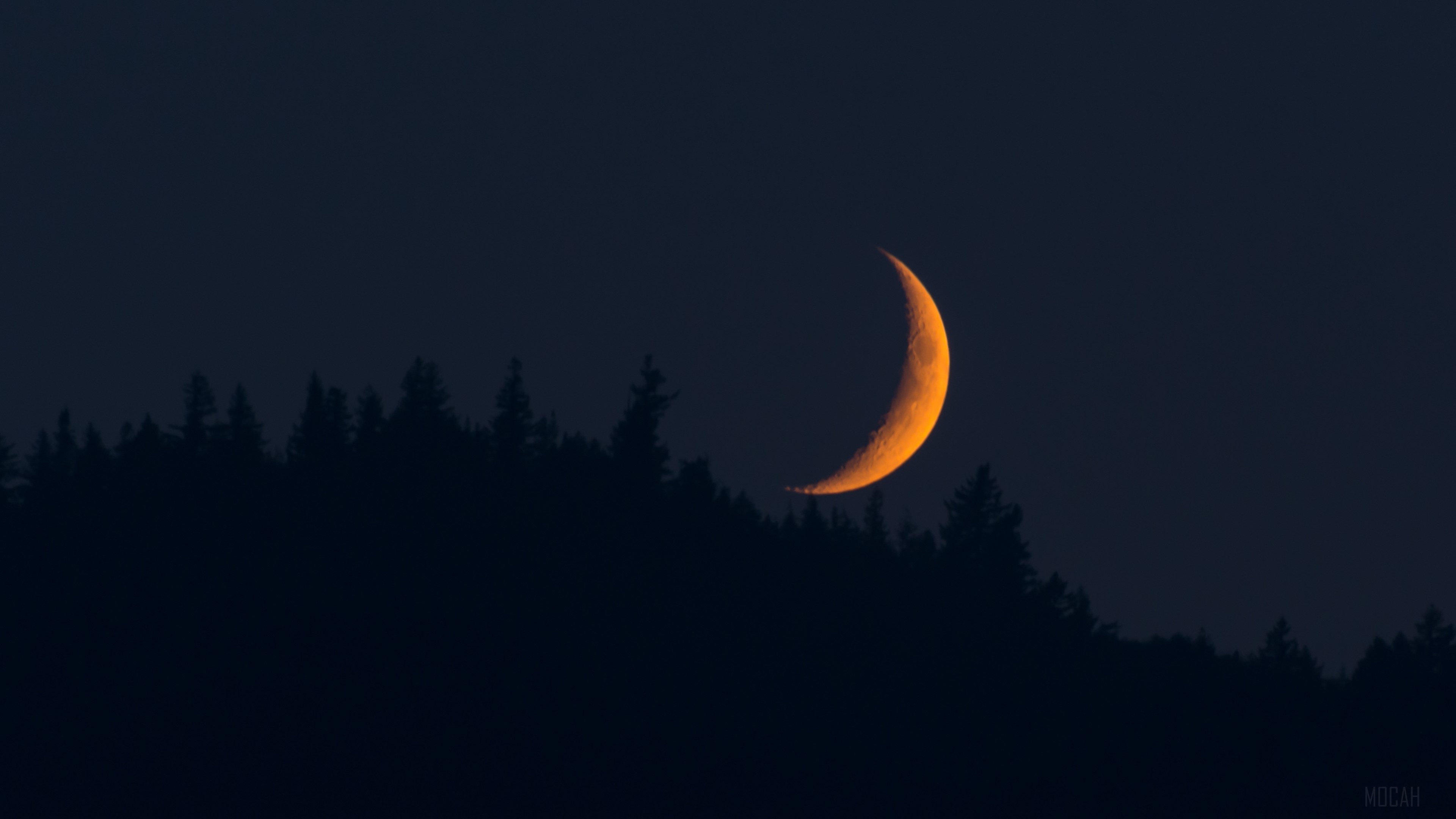 Crescent Moon over Forest Silhouette HD Wallpaper