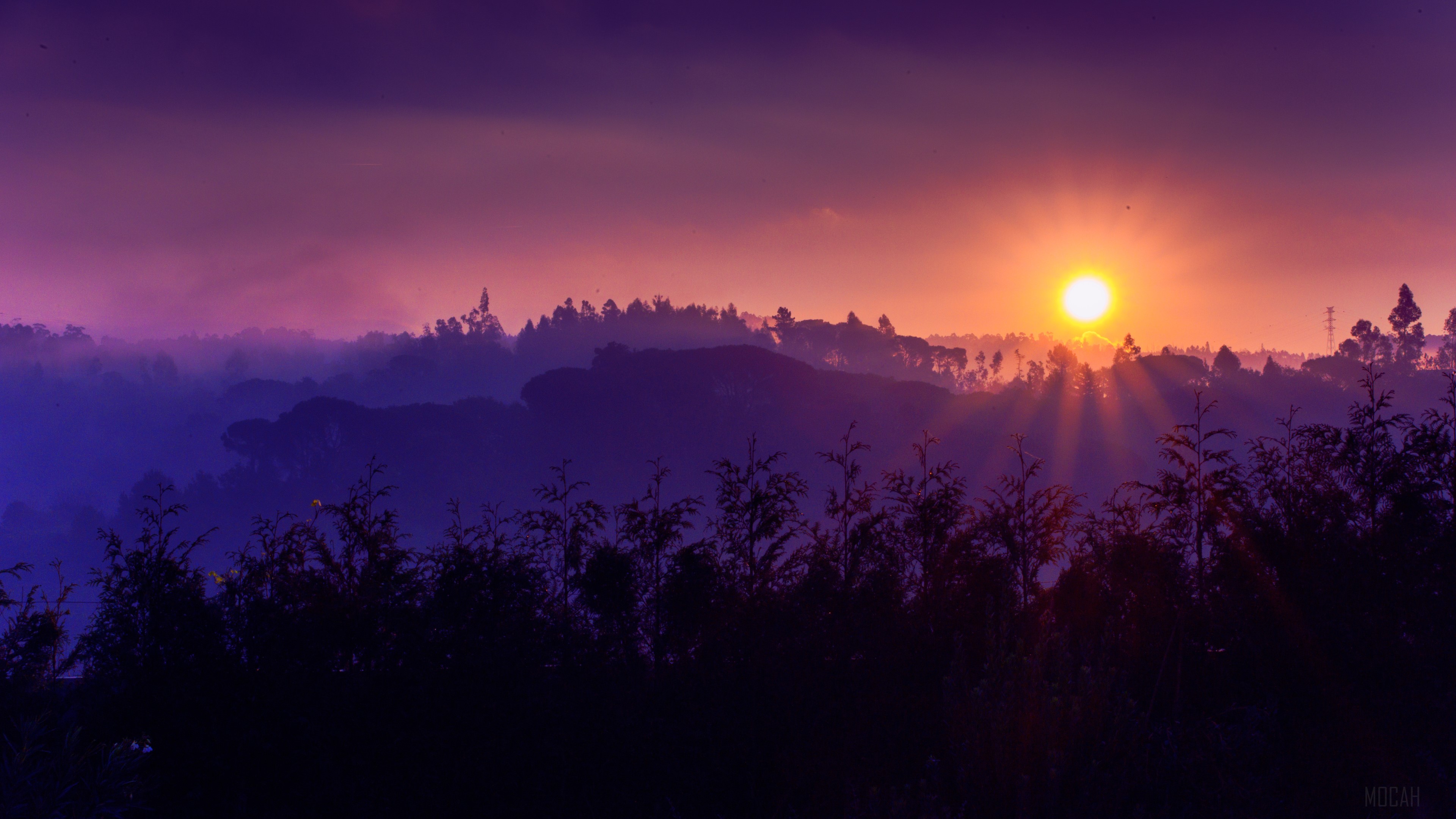 Sunrise over misty hills with silhouetted trees HD Wallpaper