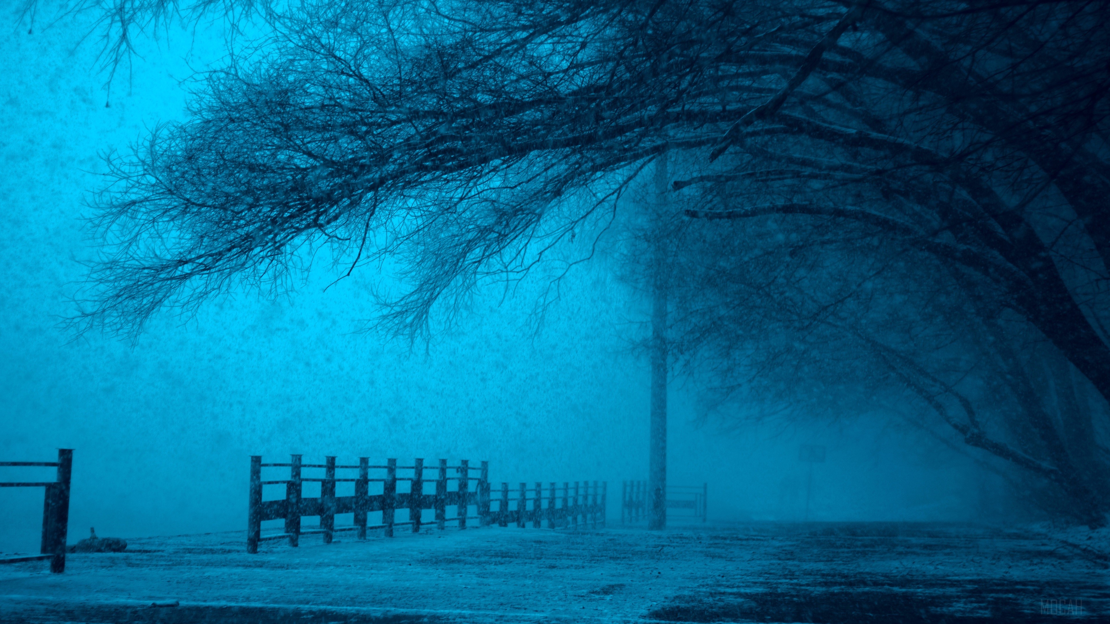 Winter Storm HD Wallpaper
