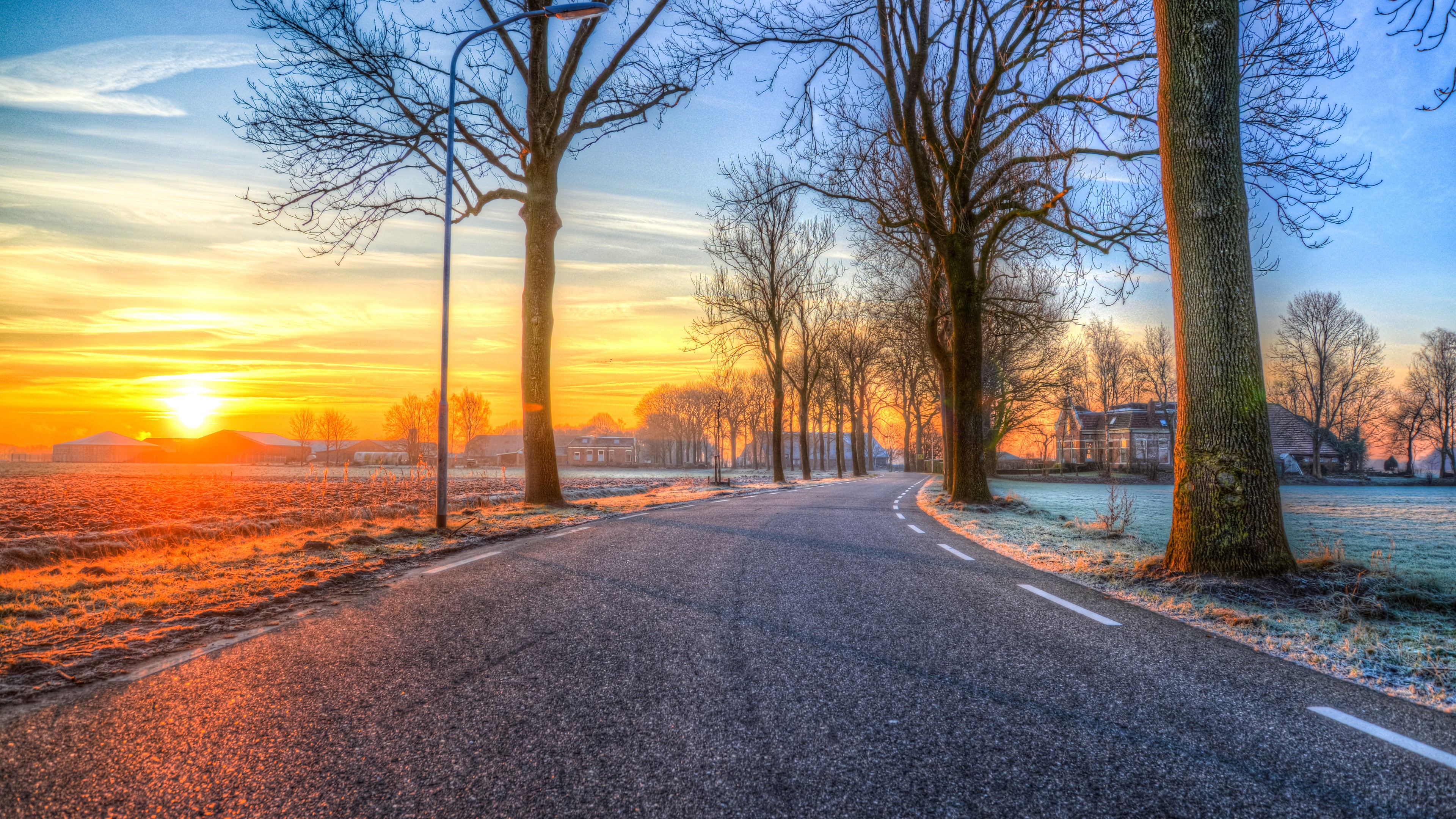Road lined with trees at sunrise in the countryside HD Wallpaper