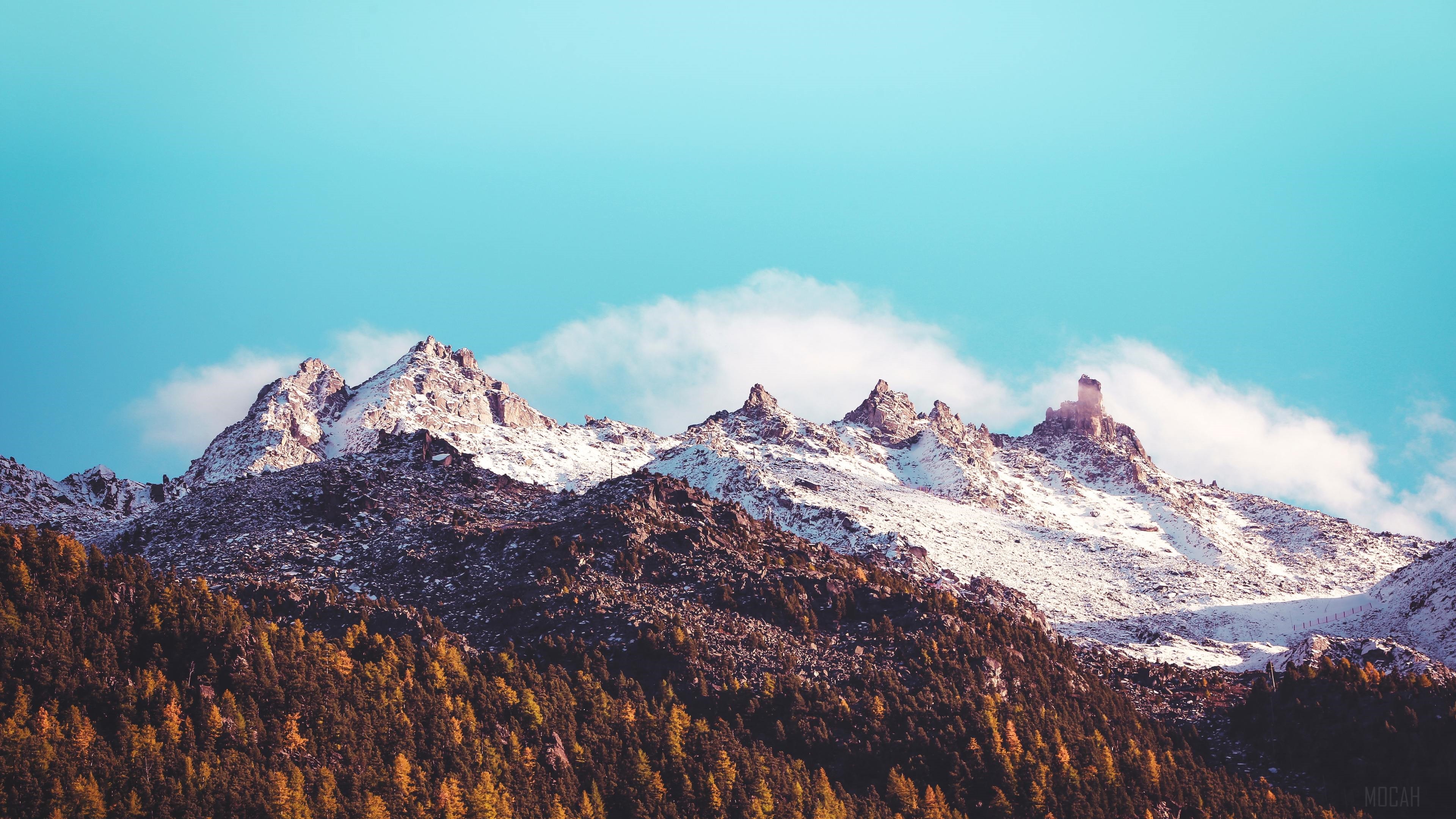 Snow-capped mountains and autumn trees under blue sky HD Wallpaper