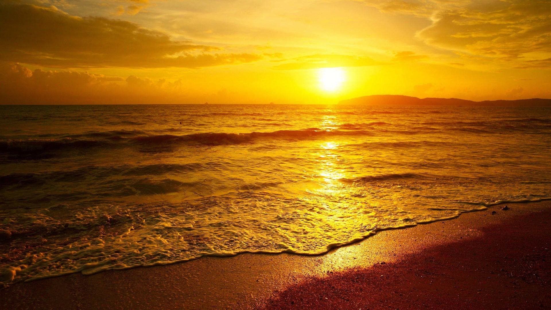 Golden sunset over the ocean and beach HD Wallpaper