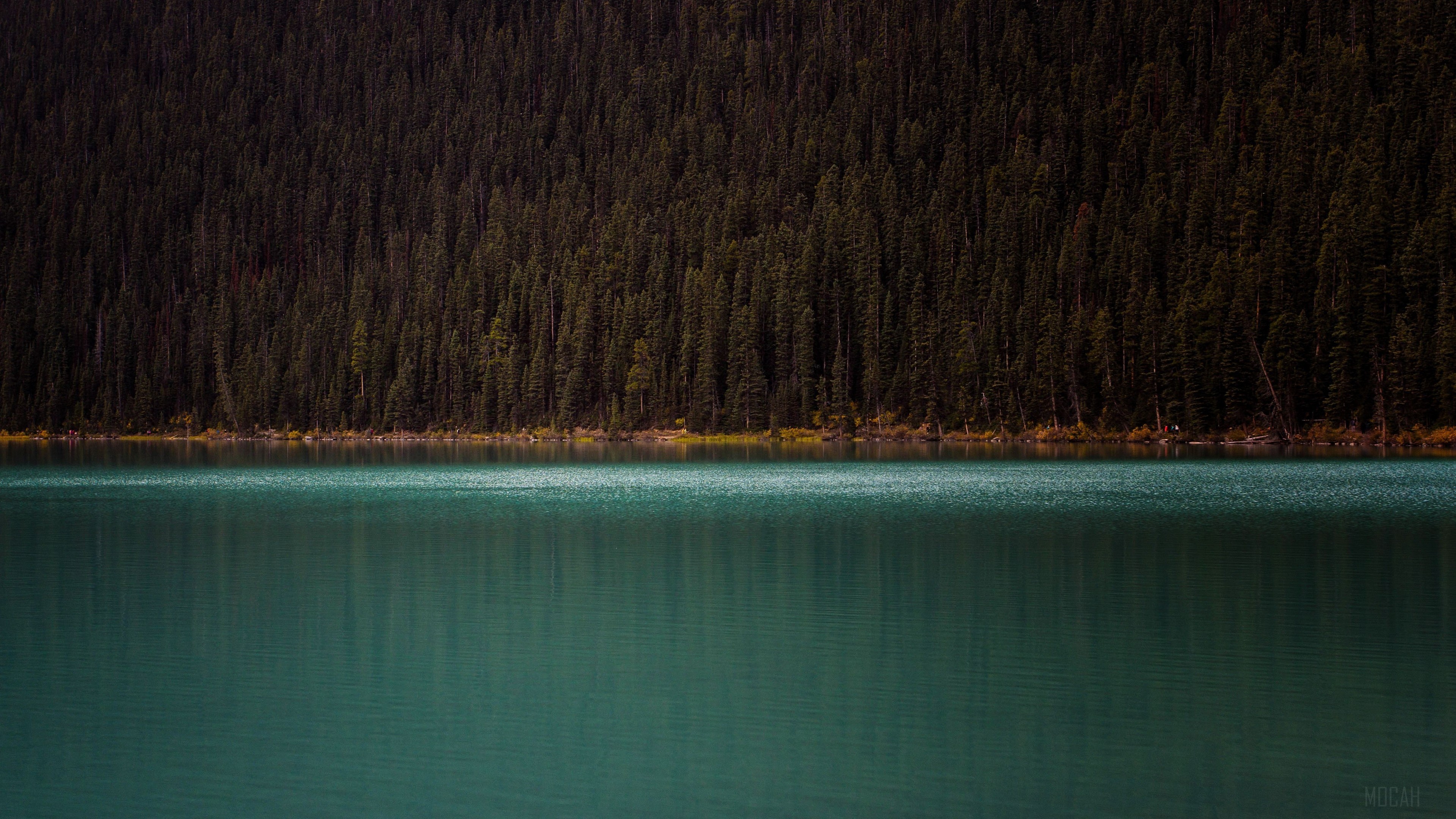 Turquoise lake in front of dark forest 4K HD Wallpaper