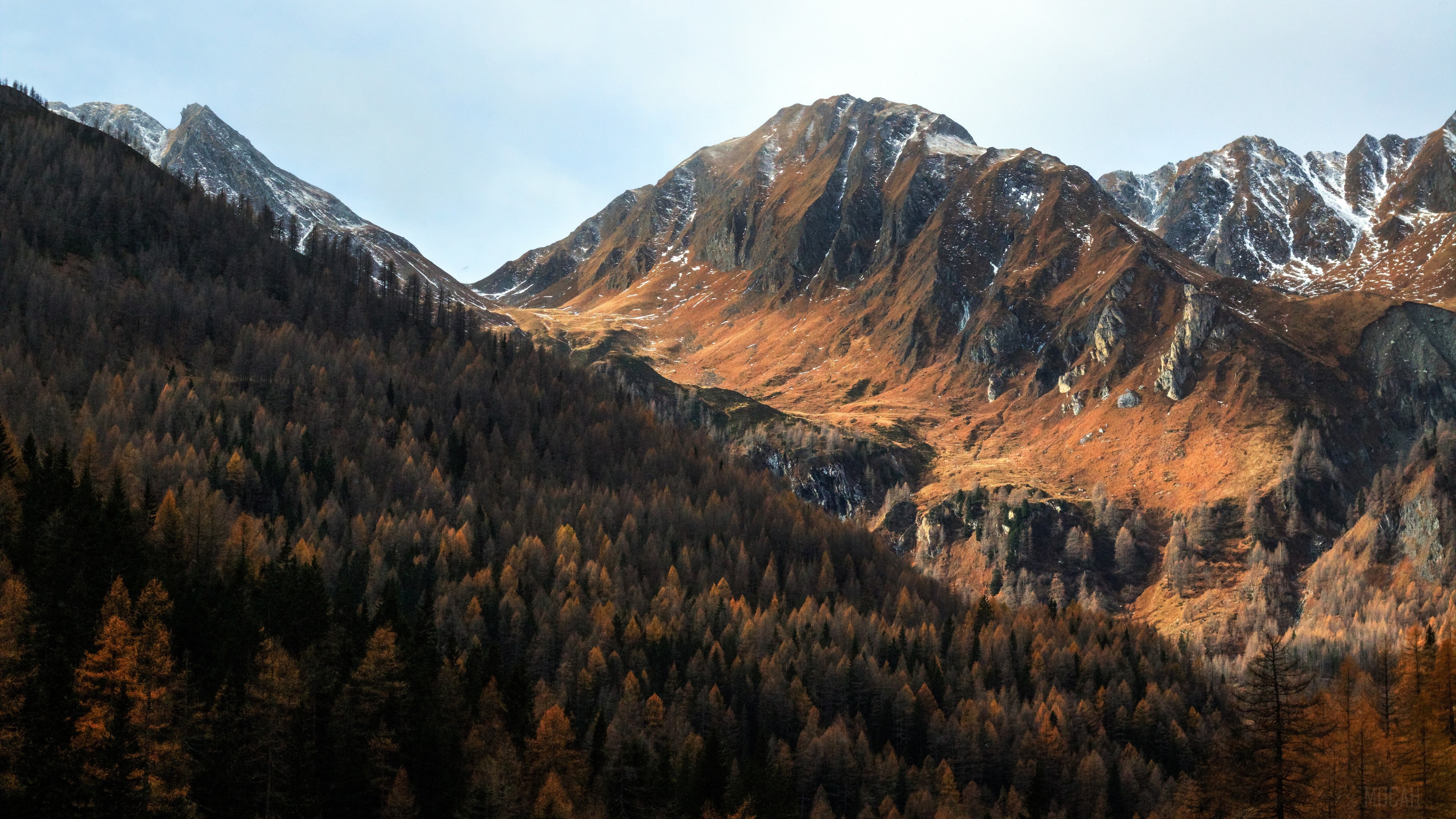 Scenic View of Mountains and Pine Forest 4K HD Wallpaper