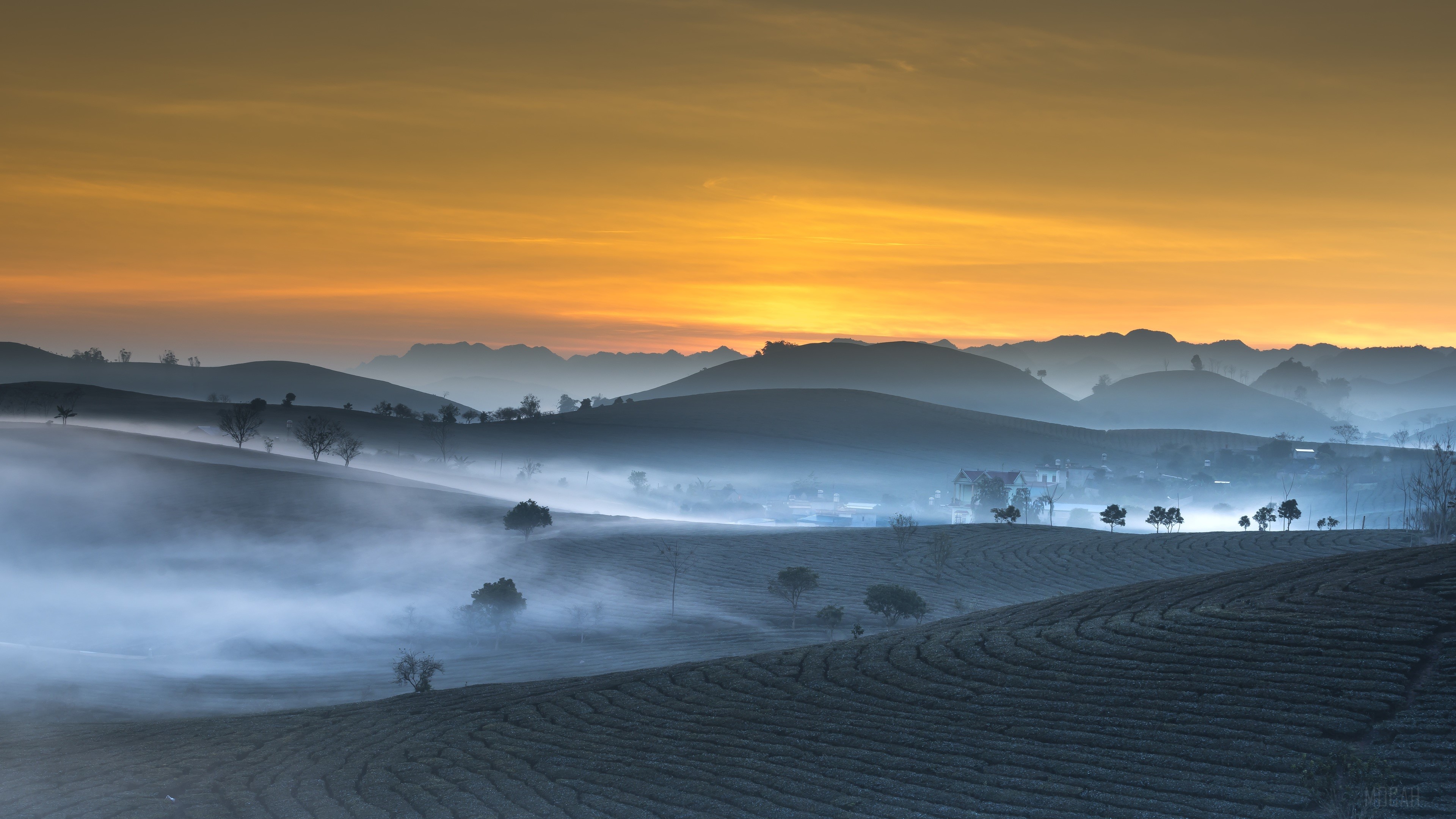 Morning mist over tea plantations at sunrise HD Wallpaper