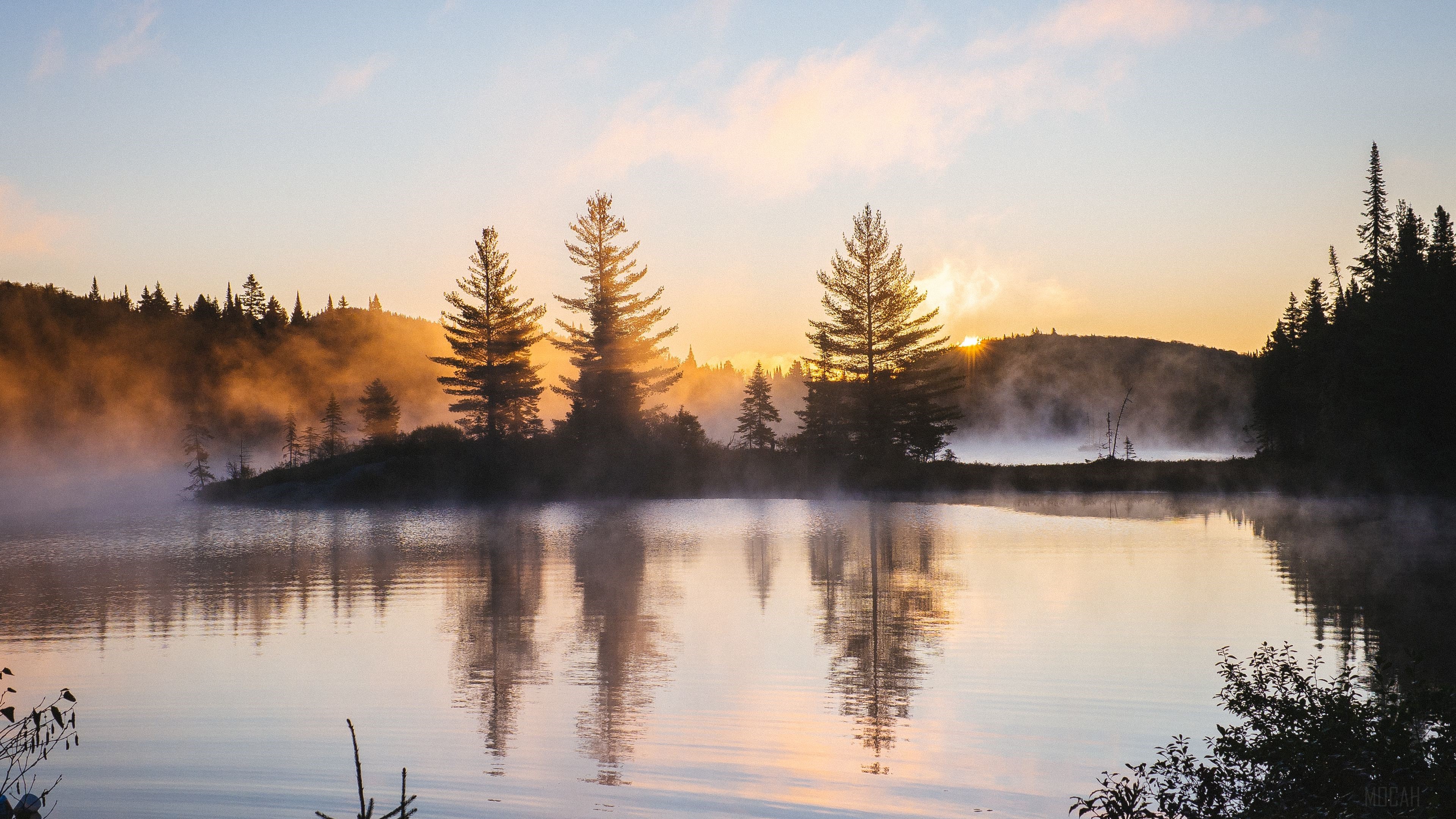 Lake with Mist and Trees at Sunrise HD Wallpaper
