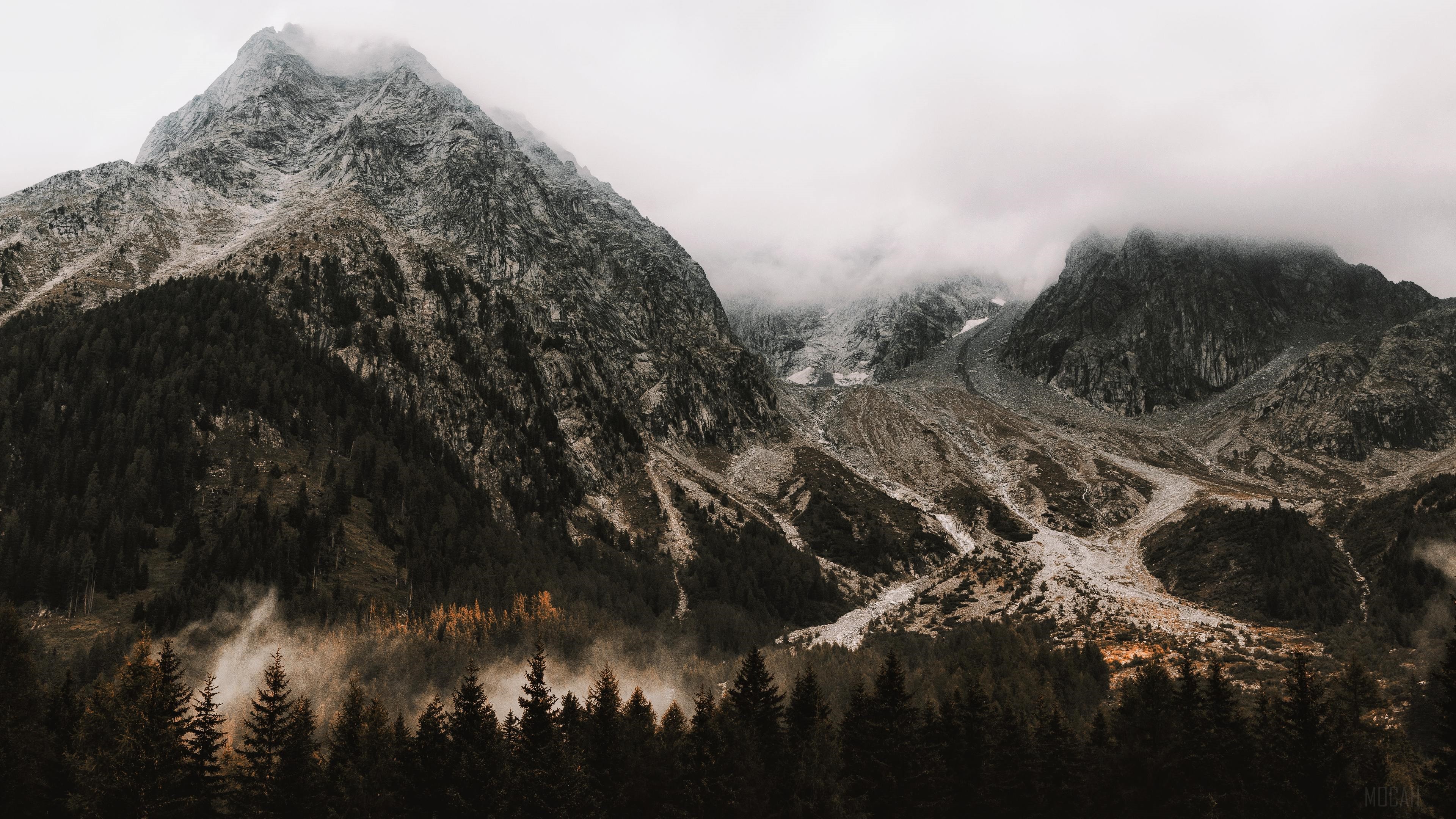 Misty Mountains with Forest and Snow HD Wallpaper