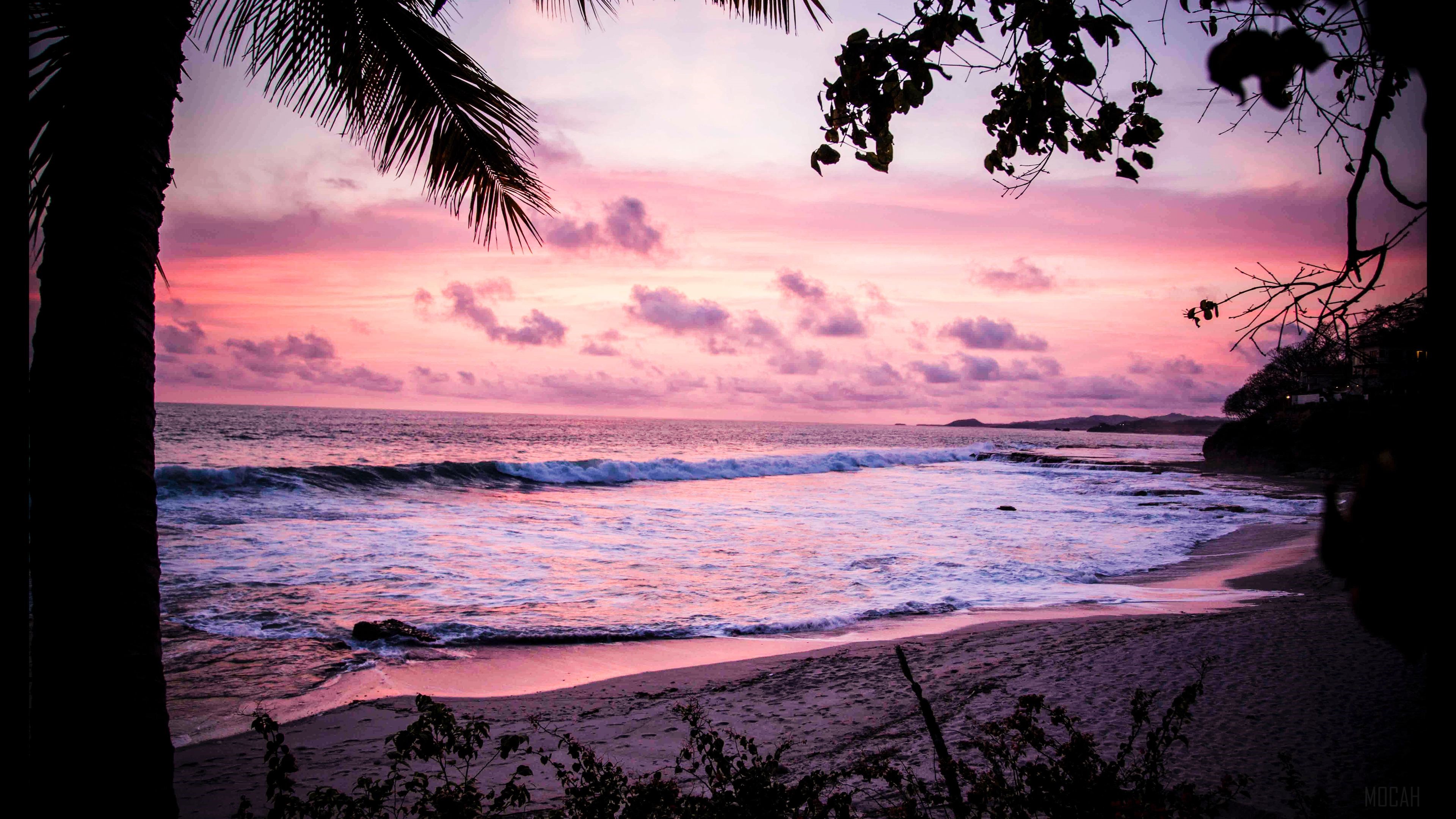 Sunset over the ocean with palm trees HD Wallpaper
