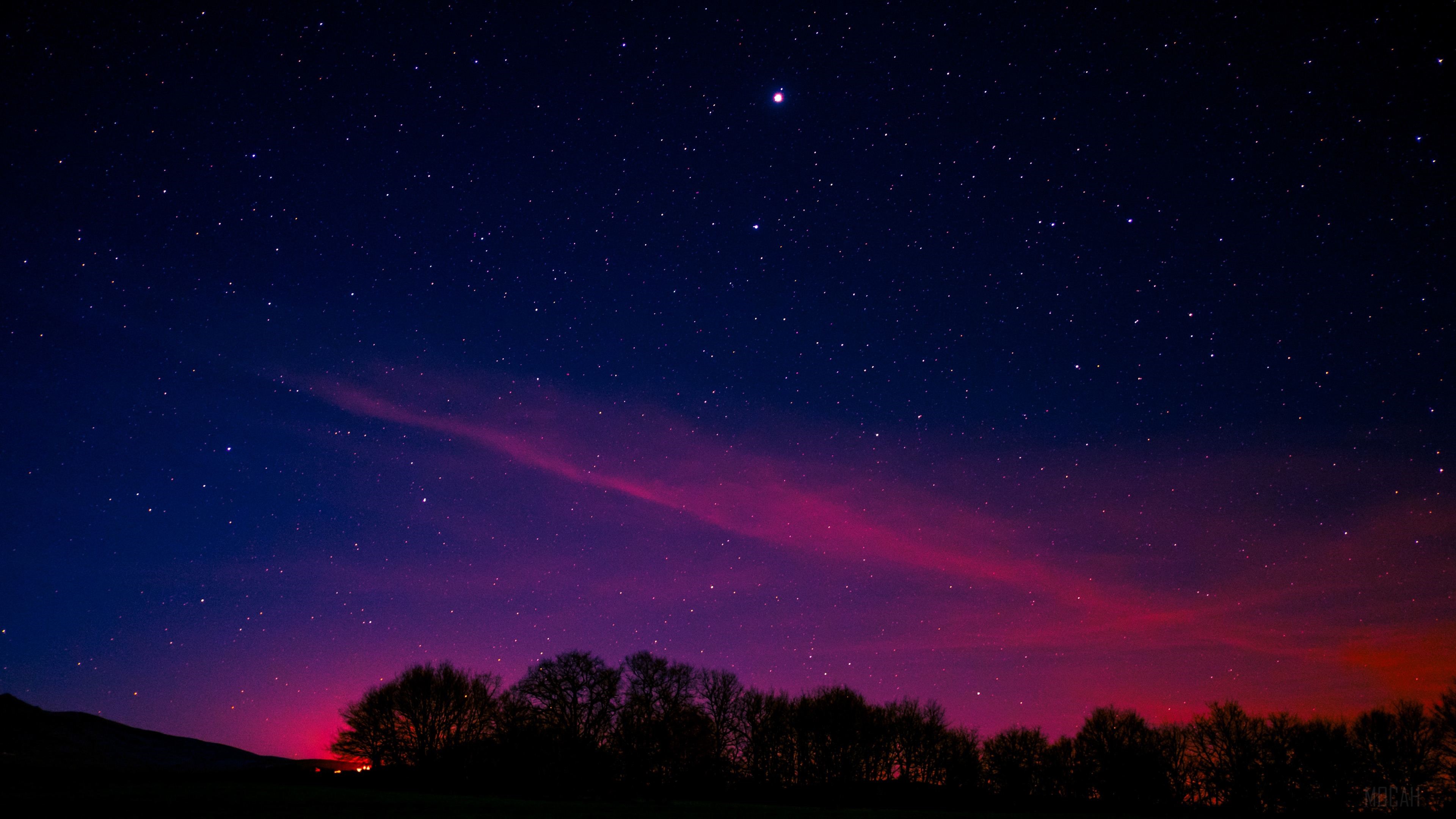 Night sky with pink aurora and silhouetted trees HD Wallpaper